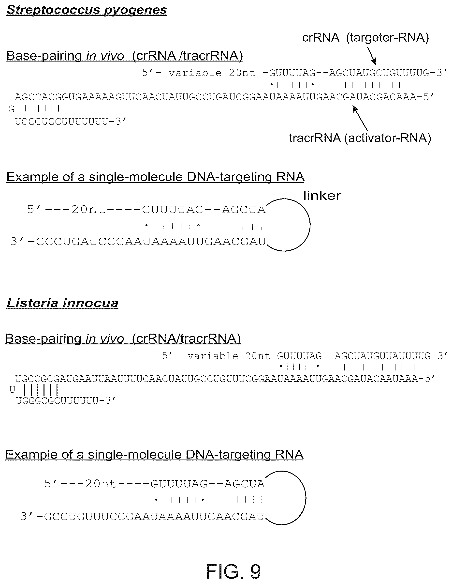 Patent US11814645 Figure 10 – Methods and compositions for RNA-directed target DNA modification and for RNA-directed modulation of transcription