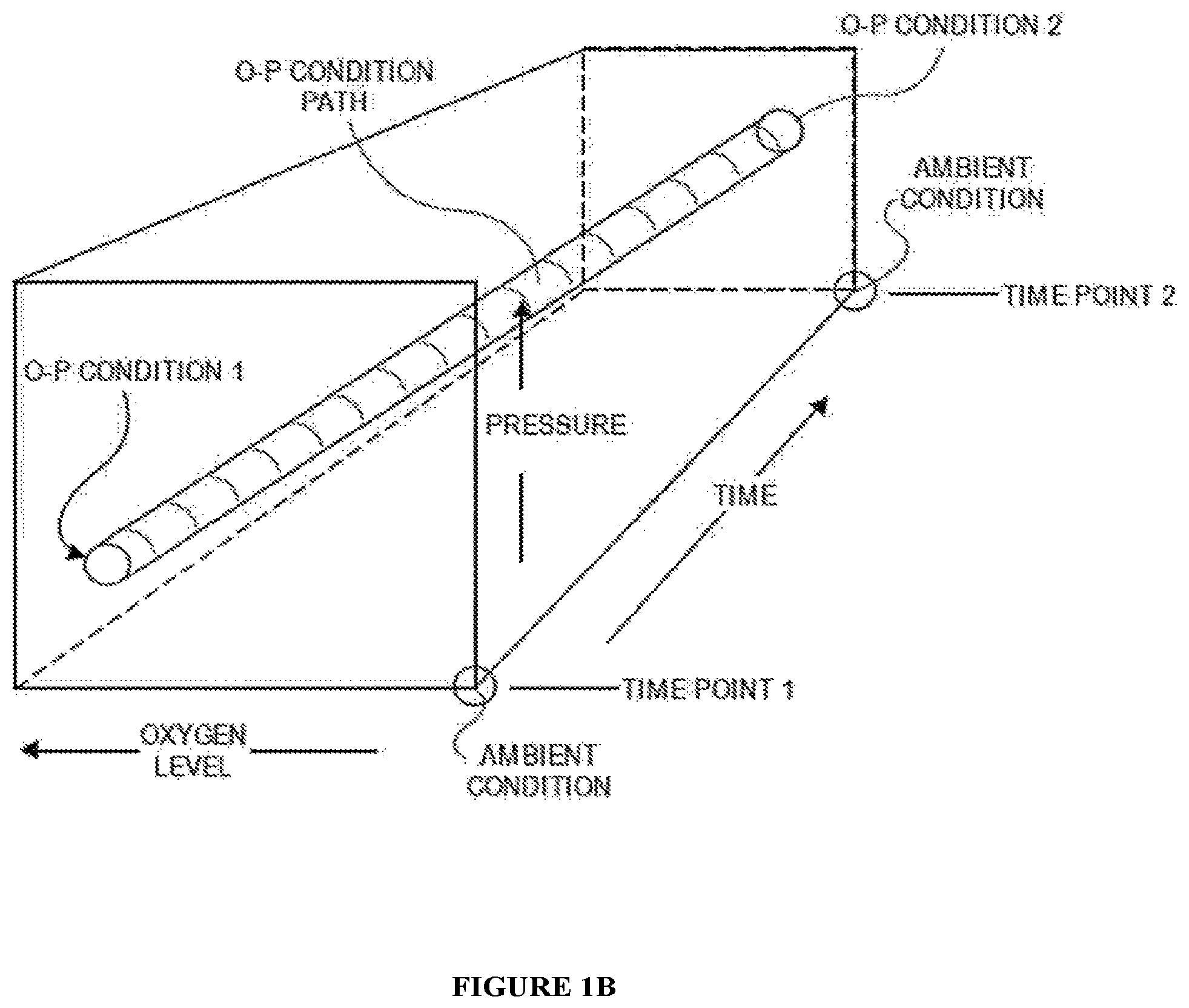Patent US11814647 Figure 2 – Methods of modulating cell phenotype by way of regulating the gaseous environment