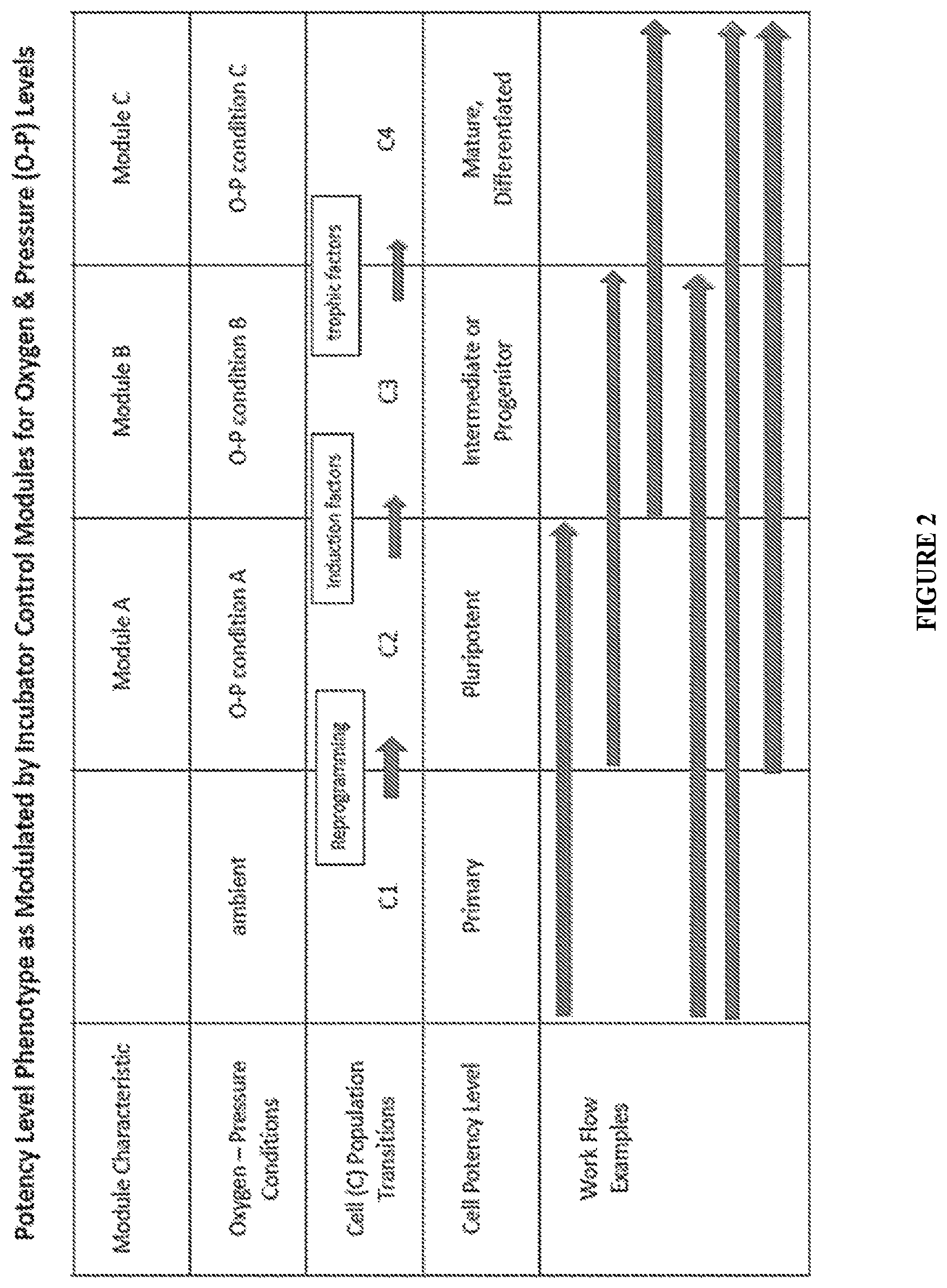 Patent US11814647 Figure 3 – Methods of modulating cell phenotype by way of regulating the gaseous environment