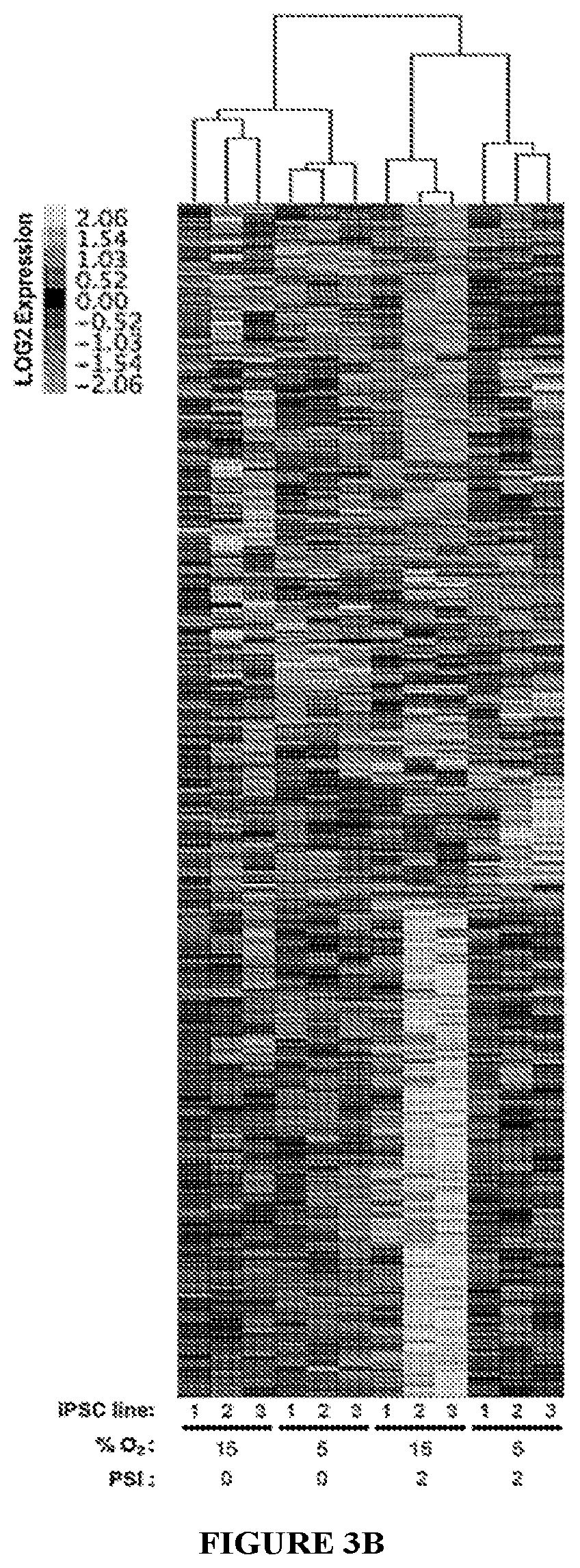 Patent US11814647 Figure 5 – Methods of modulating cell phenotype by way of regulating the gaseous environment