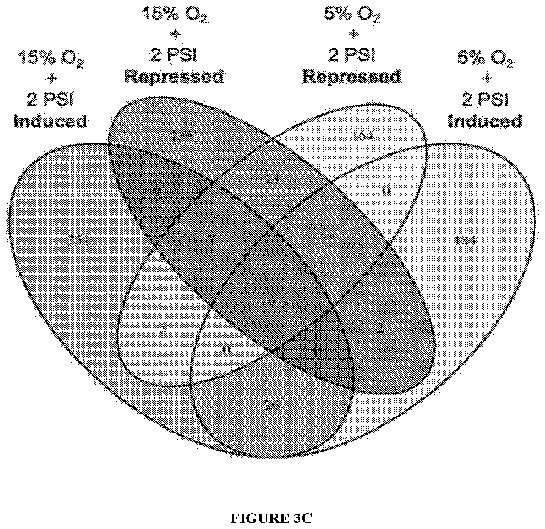 Patent US11814647 Figure 6 – Methods of modulating cell phenotype by way of regulating the gaseous environment