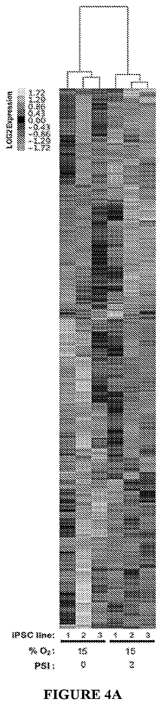 Patent US11814647 Figure 12 – Methods of modulating cell phenotype by way of regulating the gaseous environment