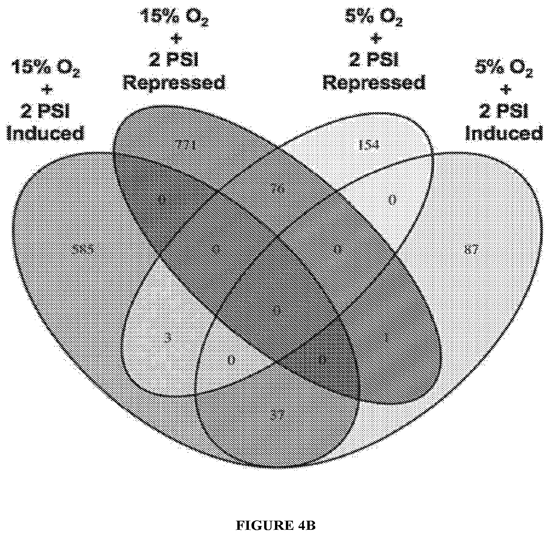 Patent US11814647 Figure 13 – Methods of modulating cell phenotype by way of regulating the gaseous environment
