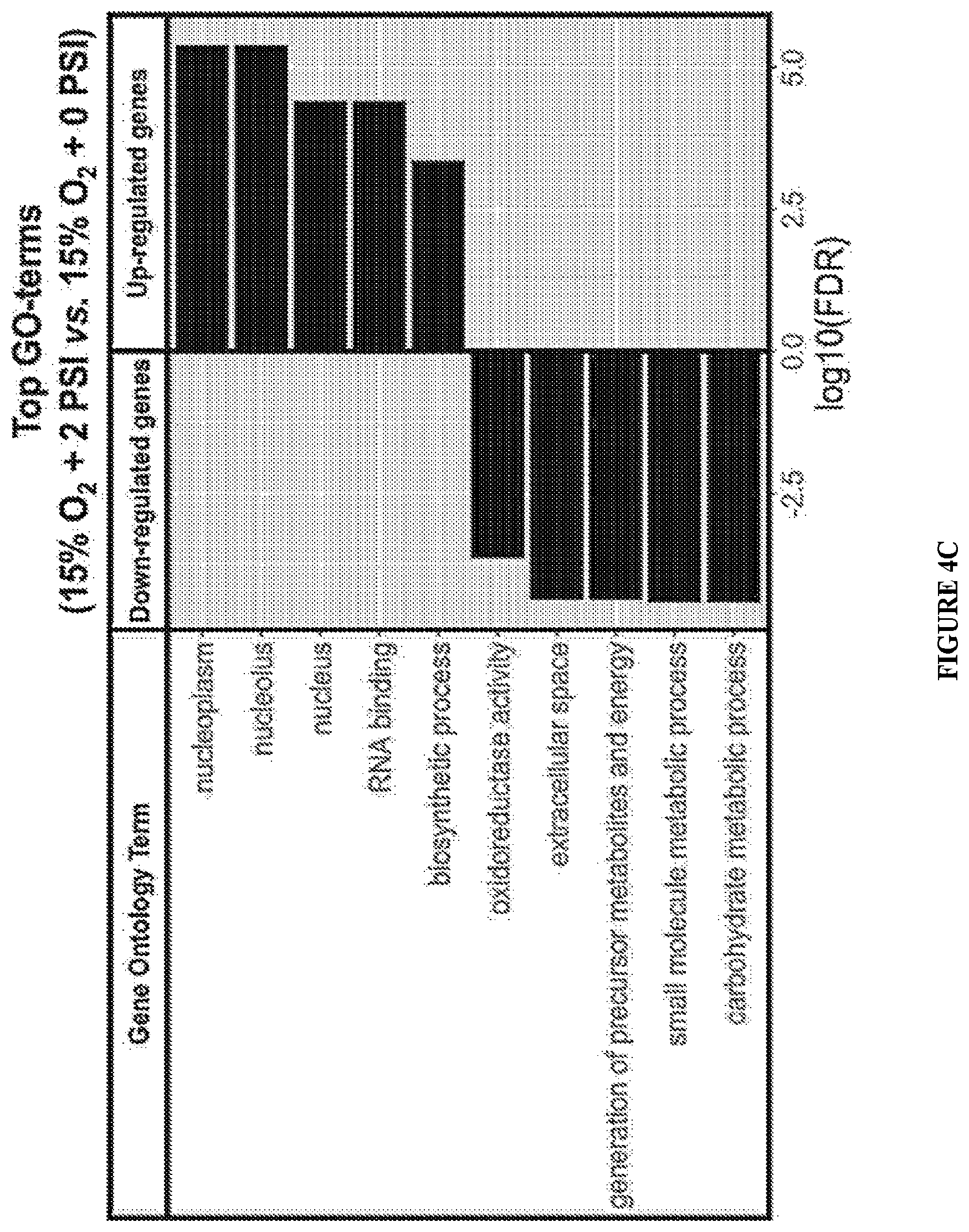 Patent US11814647 Figure 14 – Methods of modulating cell phenotype by way of regulating the gaseous environment