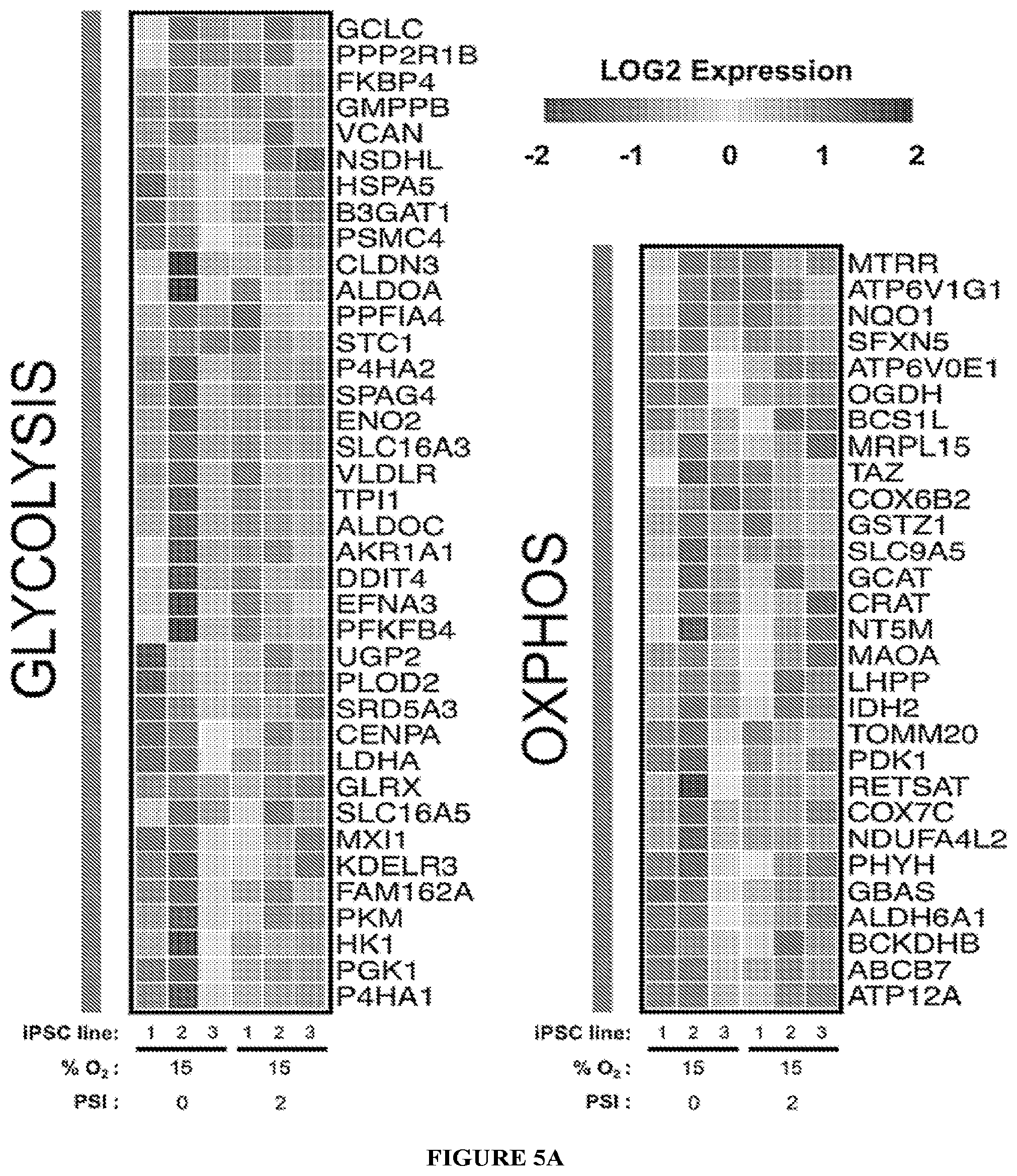 Patent US11814647 Figure 18 – Methods of modulating cell phenotype by way of regulating the gaseous environment