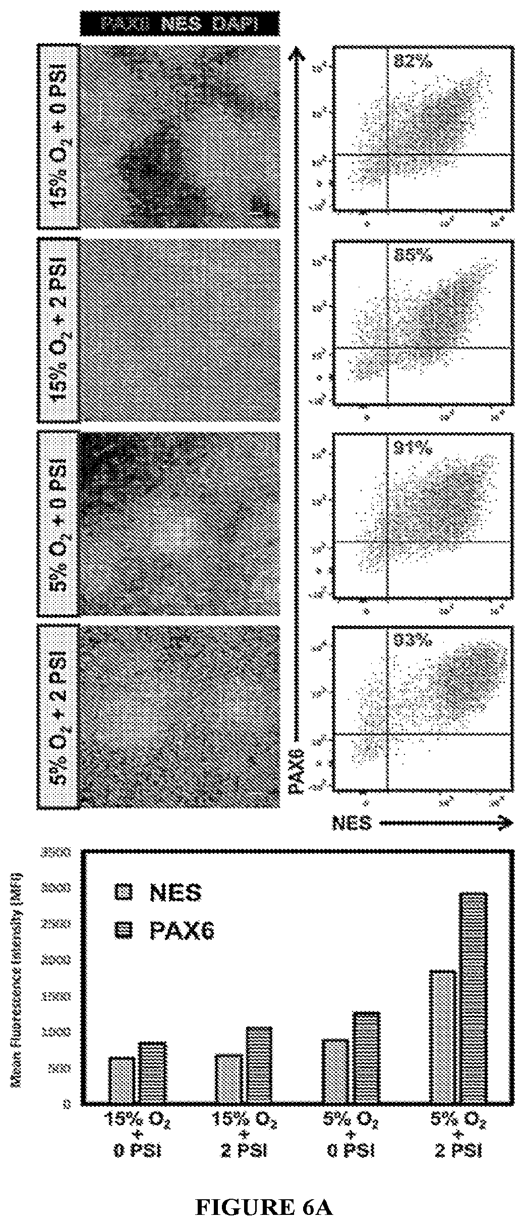 Patent US11814647 Figure 20 – Methods of modulating cell phenotype by way of regulating the gaseous environment