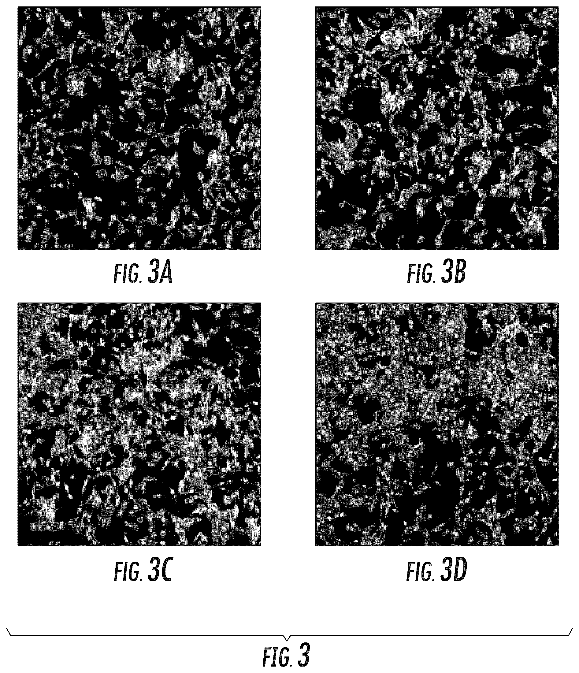 Patent US11814649 Figure 3 – Lithium disilicate glass-ceramic compositions and methods thereof