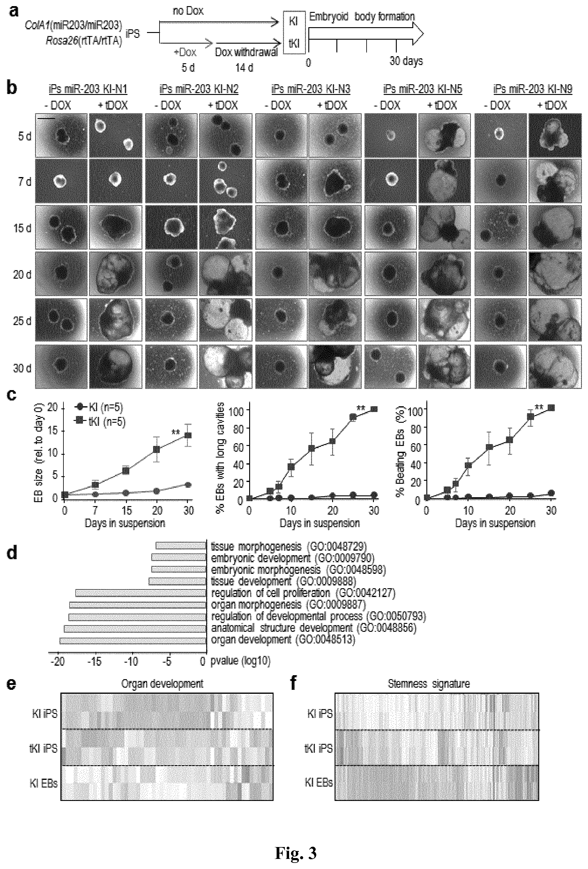 Patent US11814650 Figure 3 – Method for expanding stemness and differentiation potential of pluripotent cells