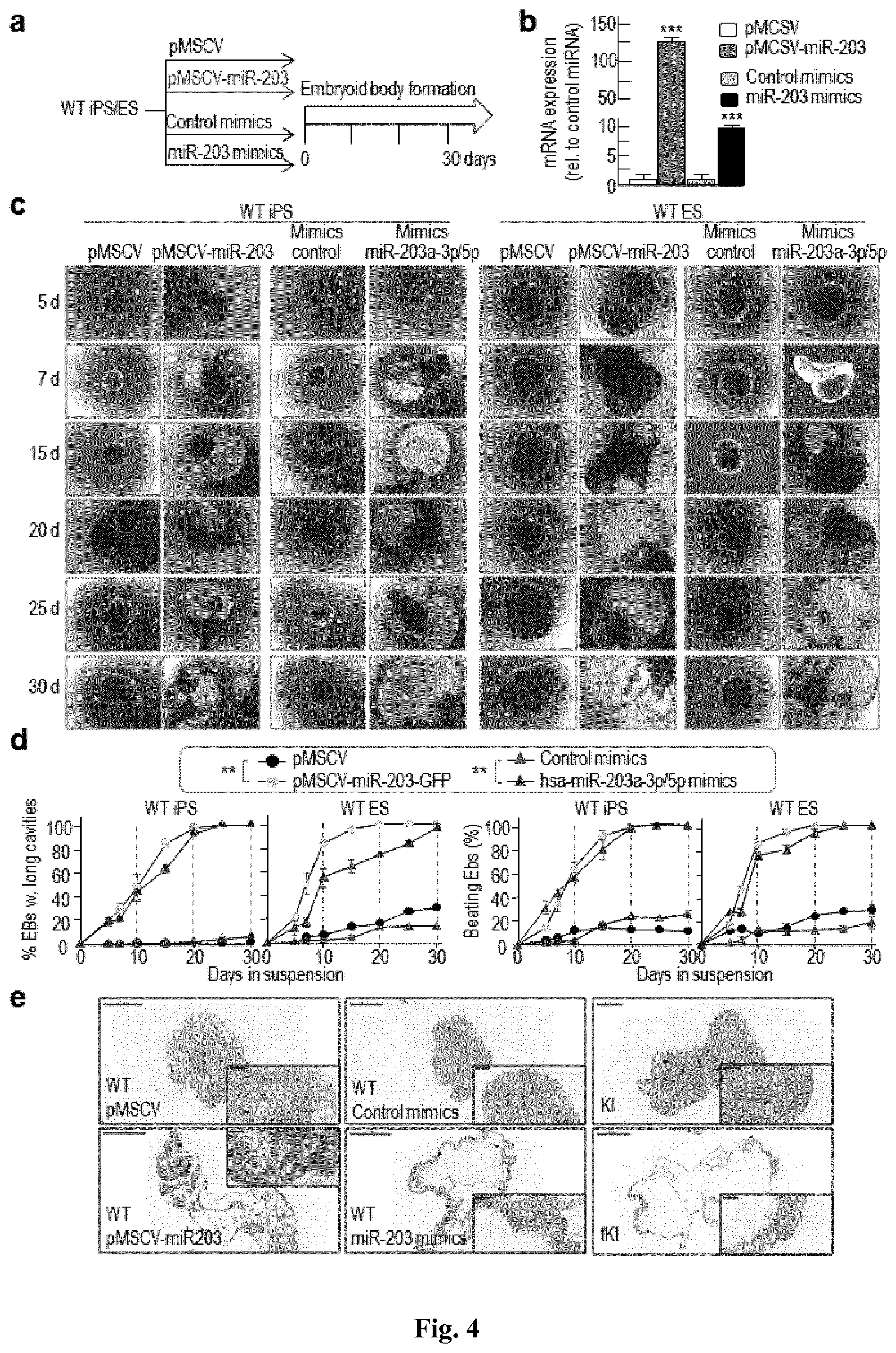 Patent US11814650 Figure 4 – Method for expanding stemness and differentiation potential of pluripotent cells