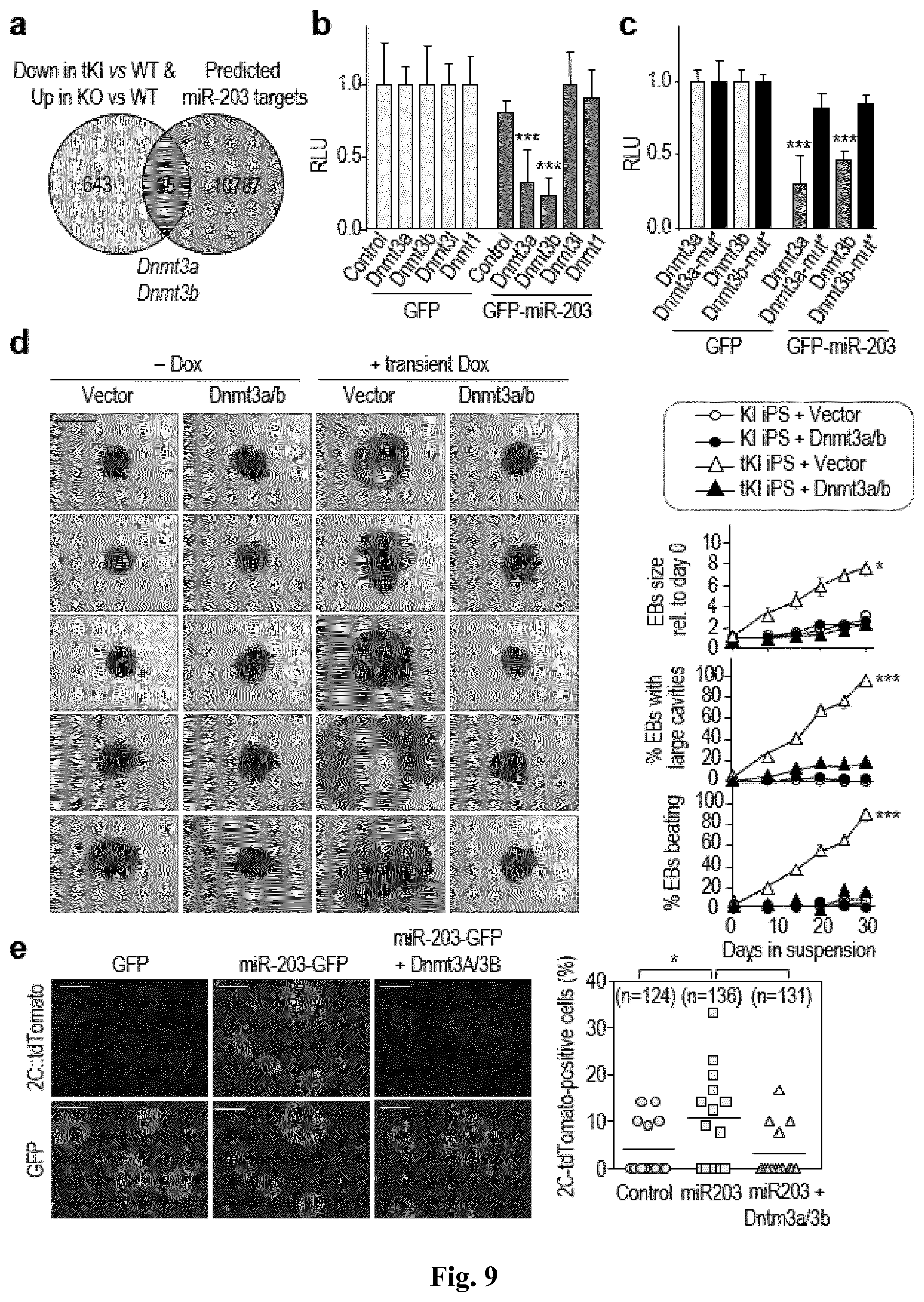 Patent US11814650 Figure 9 – Method for expanding stemness and differentiation potential of pluripotent cells