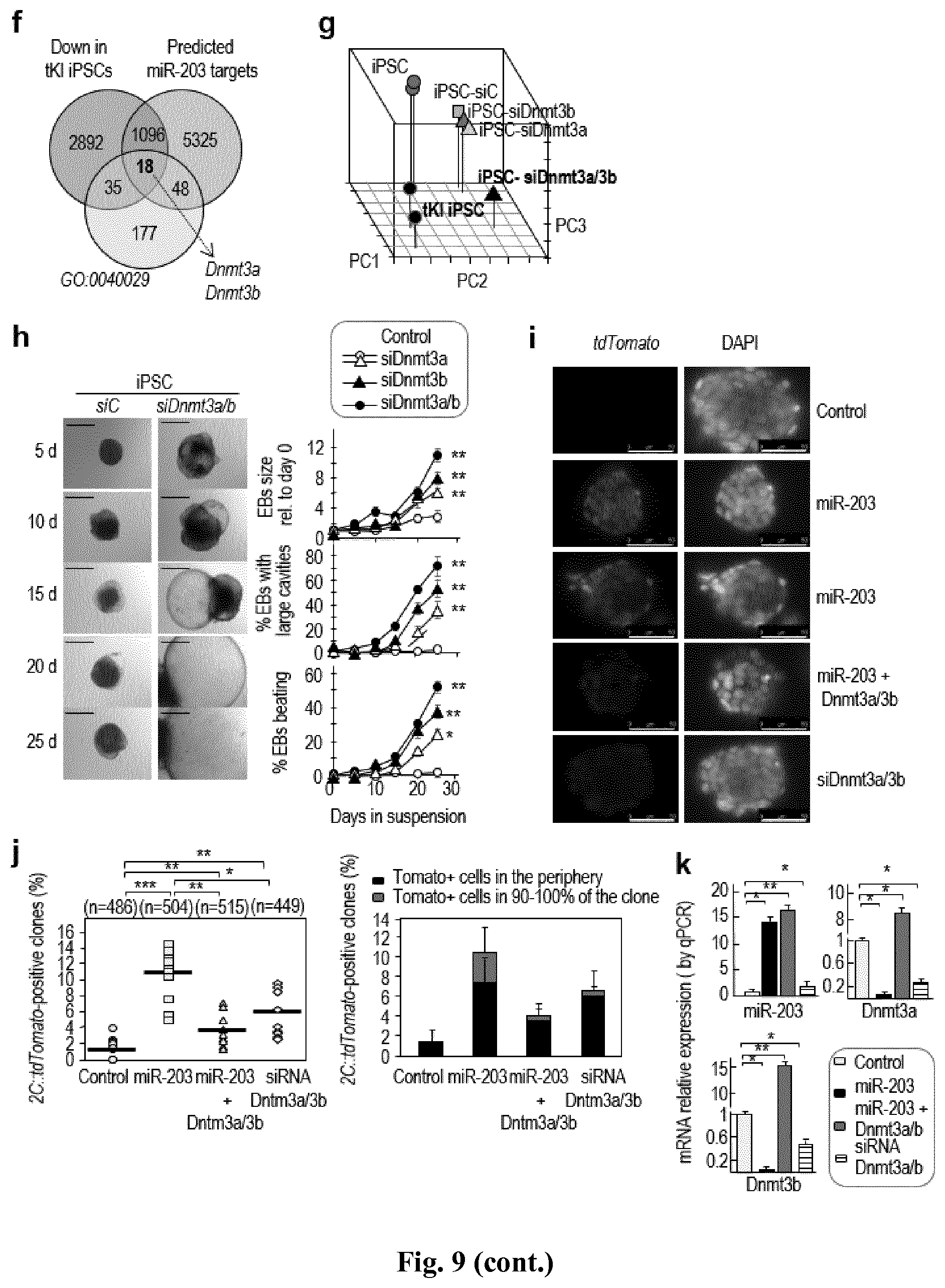 Patent US11814650 Figure 10 – Method for expanding stemness and differentiation potential of pluripotent cells