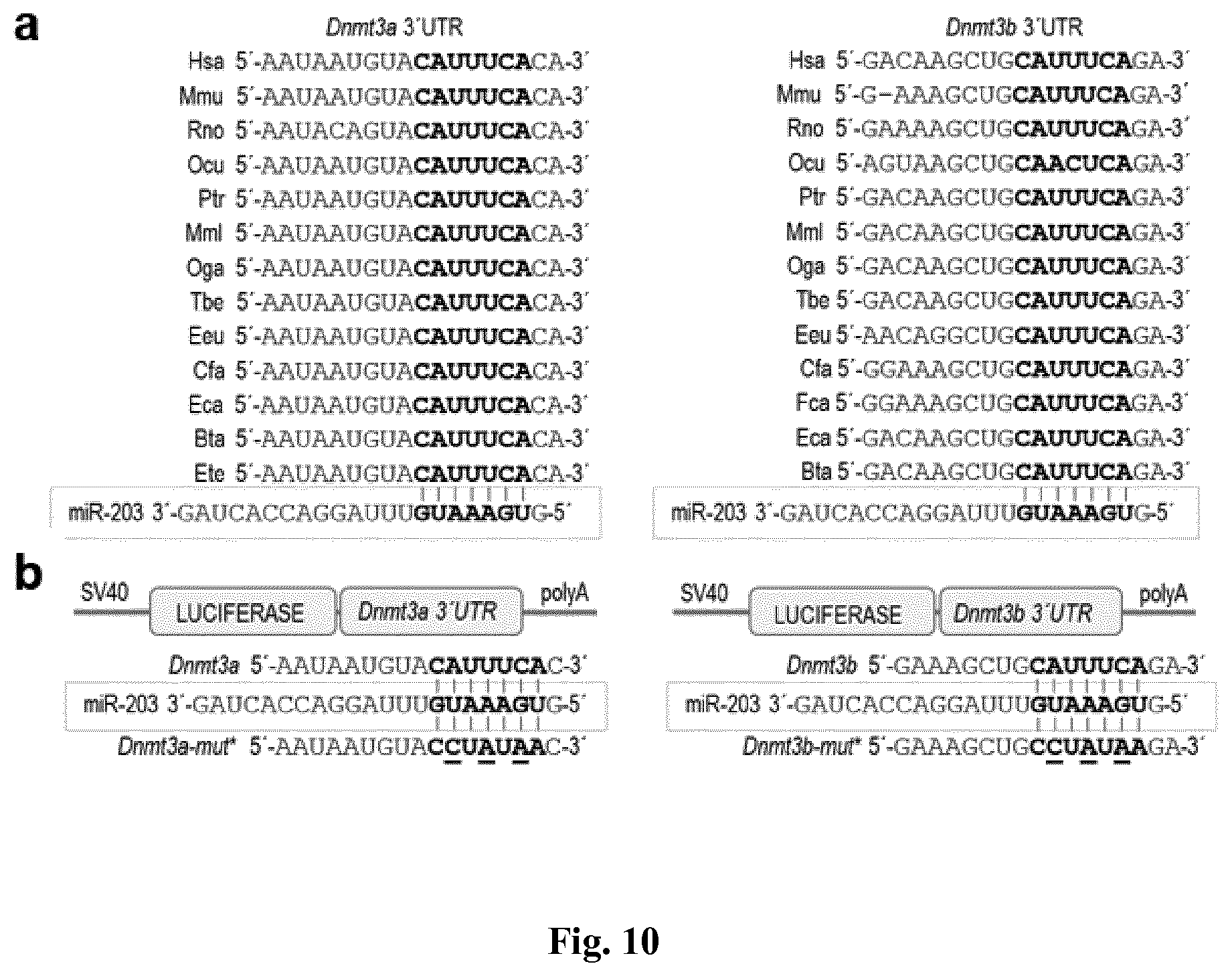 Patent US11814650 Figure 11 – Method for expanding stemness and differentiation potential of pluripotent cells