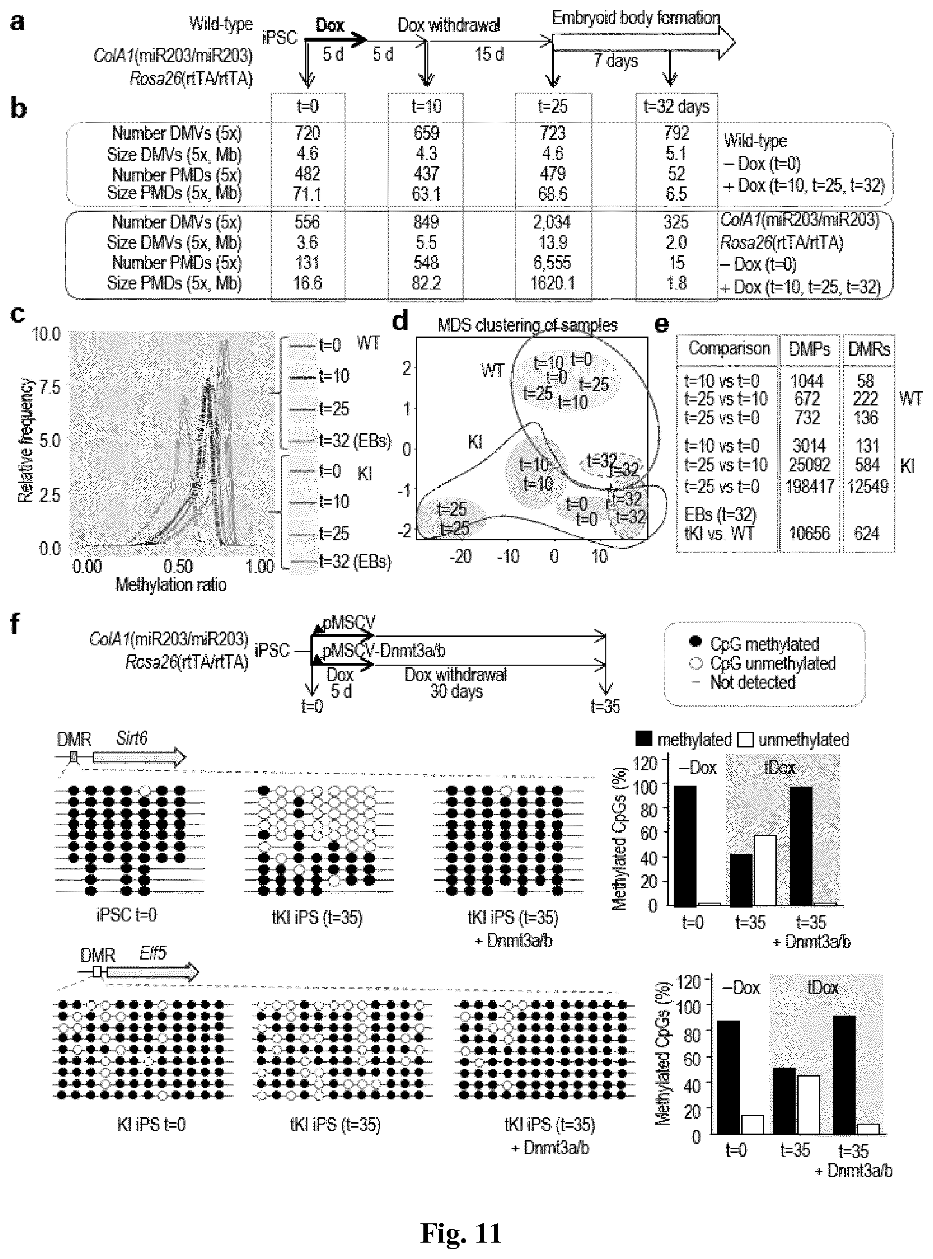 Patent US11814650 Figure 12 – Method for expanding stemness and differentiation potential of pluripotent cells