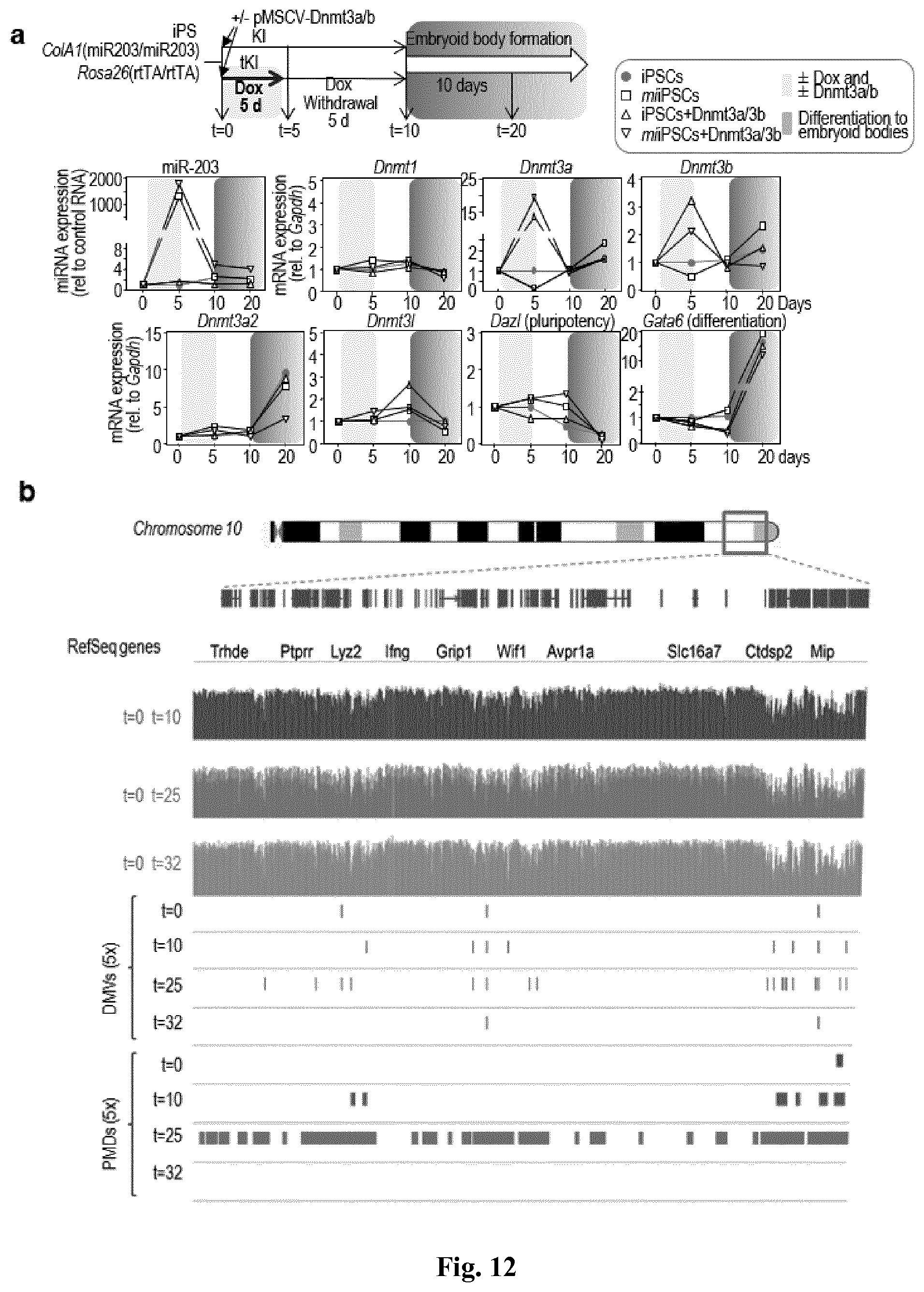 Patent US11814650 Figure 13 – Method for expanding stemness and differentiation potential of pluripotent cells
