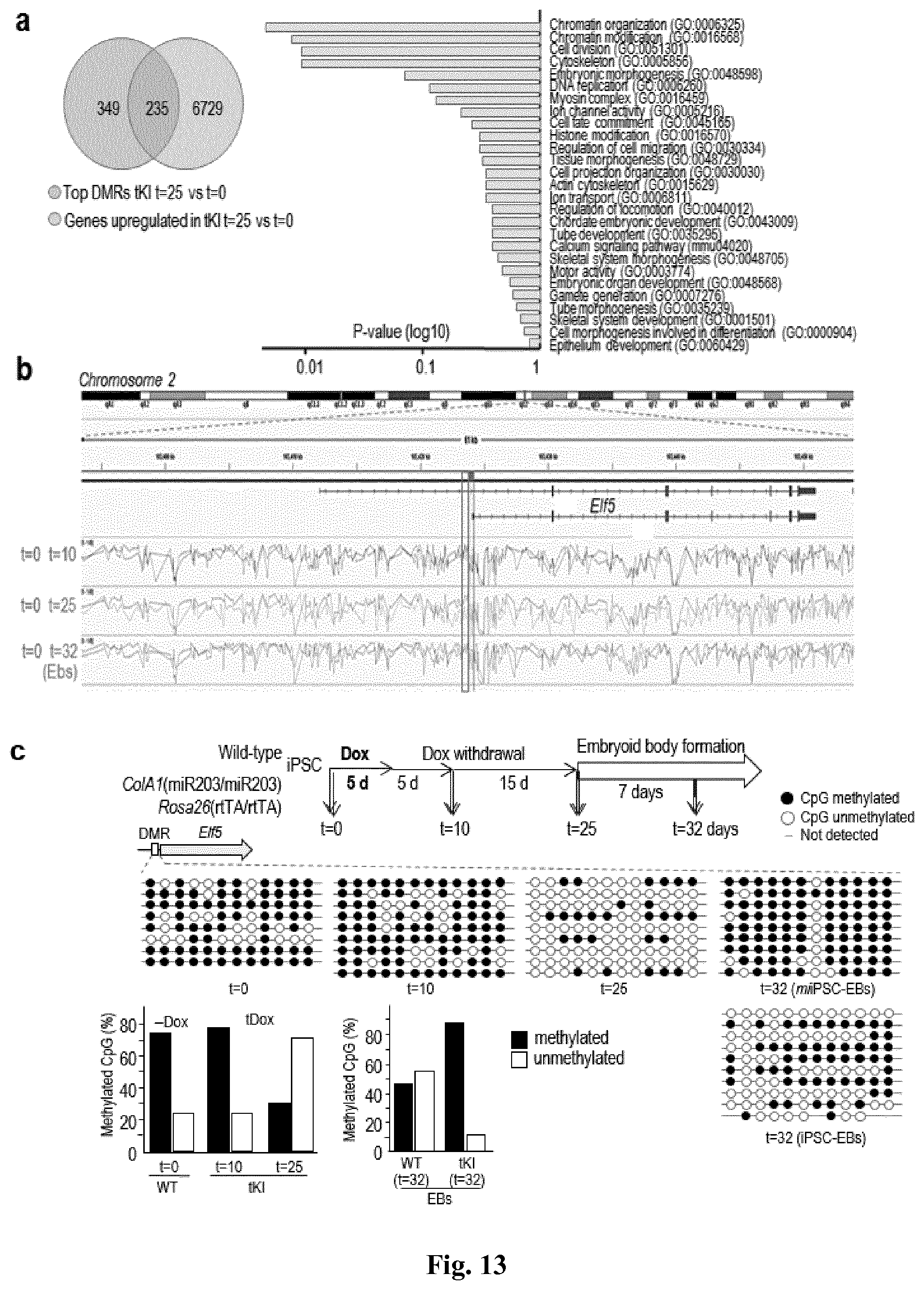 Patent US11814650 Figure 14 – Method for expanding stemness and differentiation potential of pluripotent cells