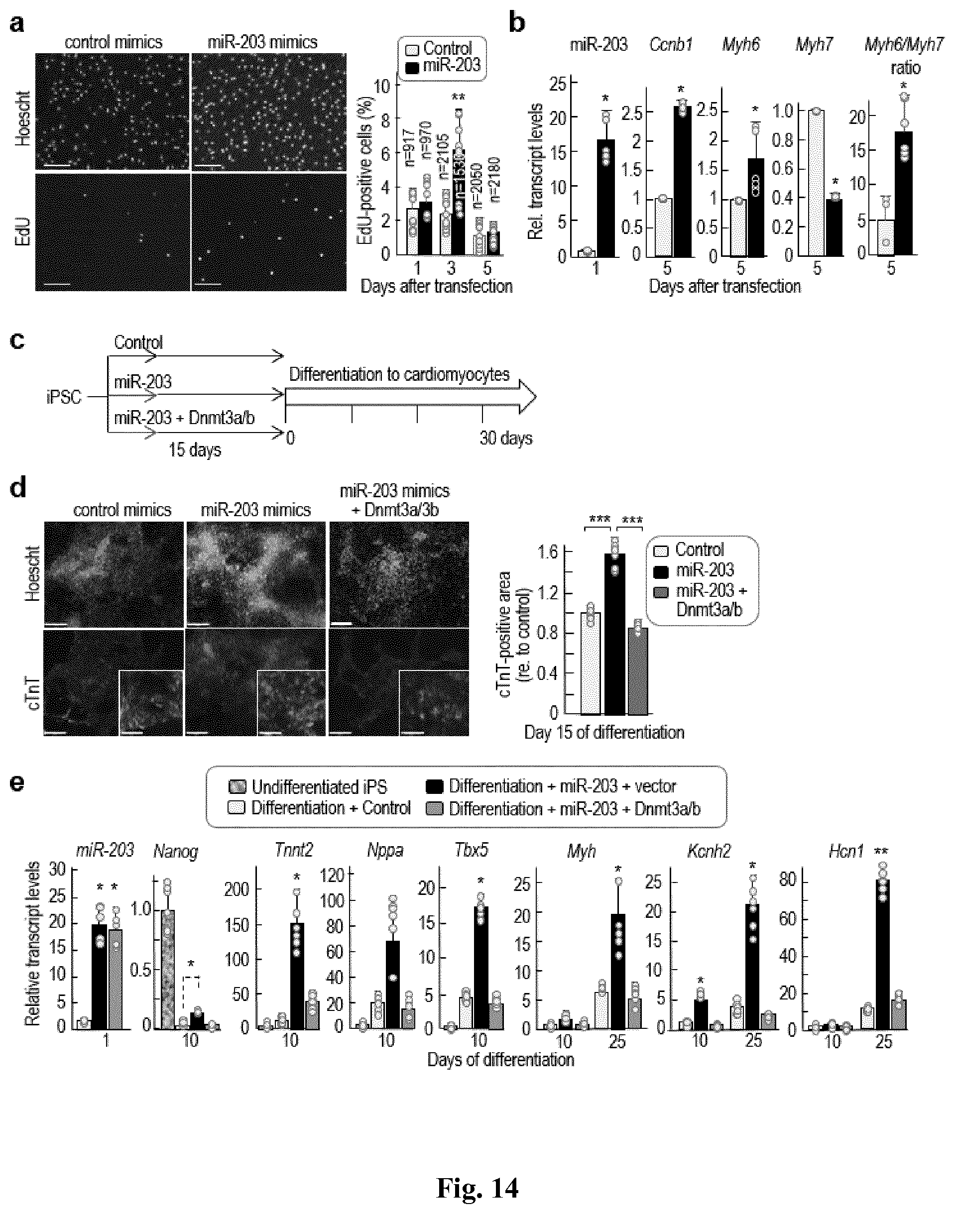 Patent US11814650 Figure 15 – Method for expanding stemness and differentiation potential of pluripotent cells