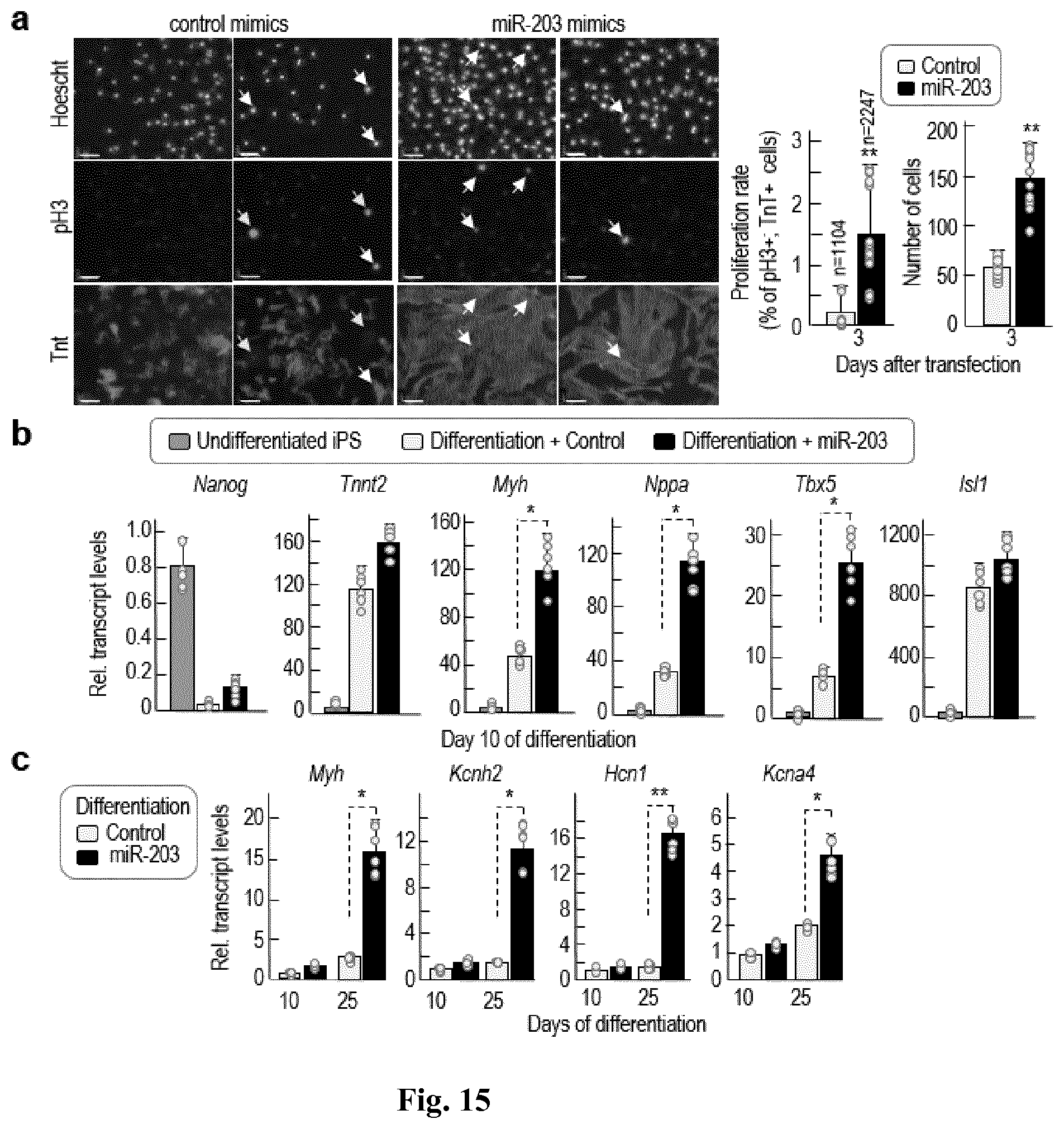 Patent US11814650 Figure 16 – Method for expanding stemness and differentiation potential of pluripotent cells