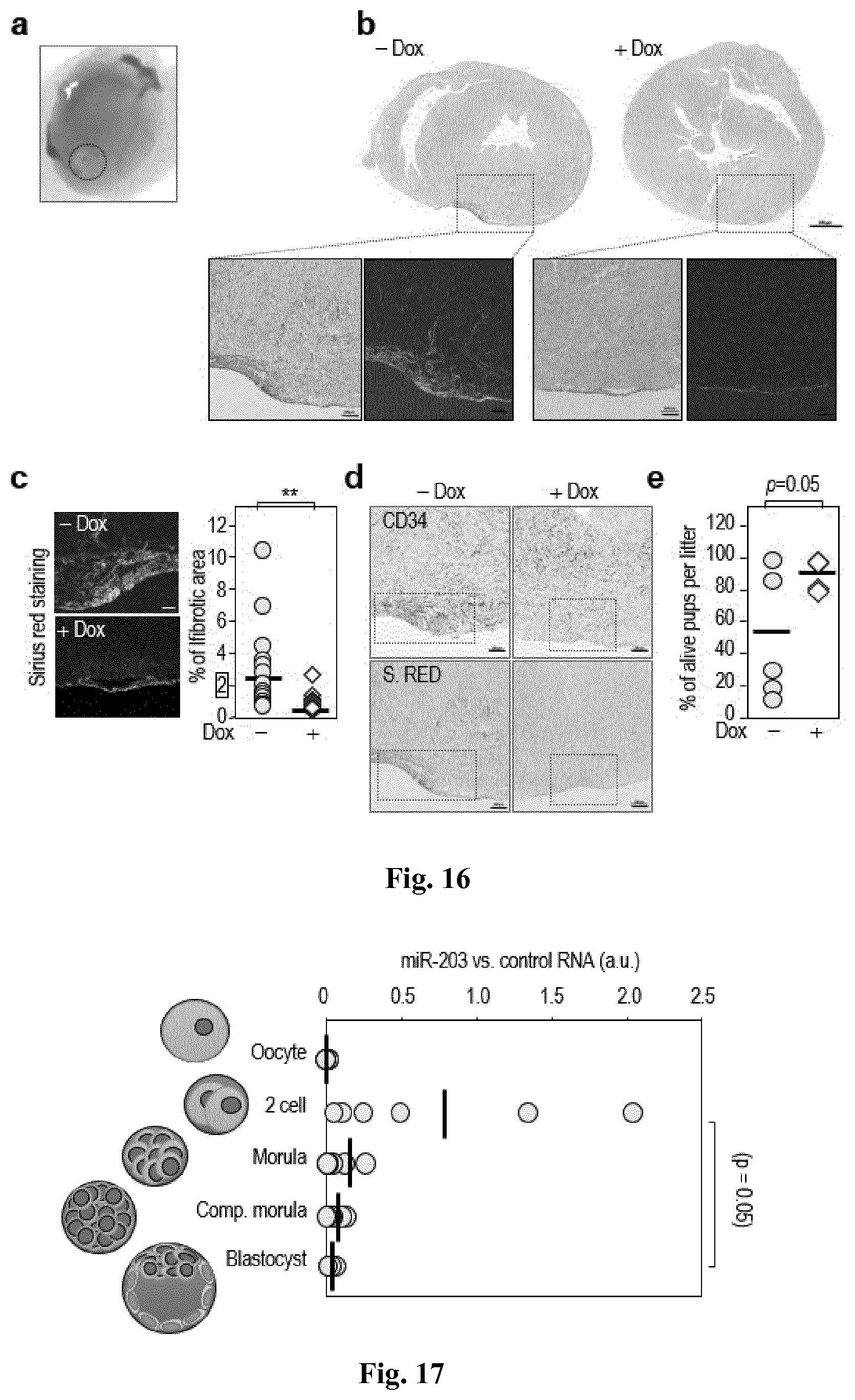 Patent US11814650 Figure 17 – Method for expanding stemness and differentiation potential of pluripotent cells