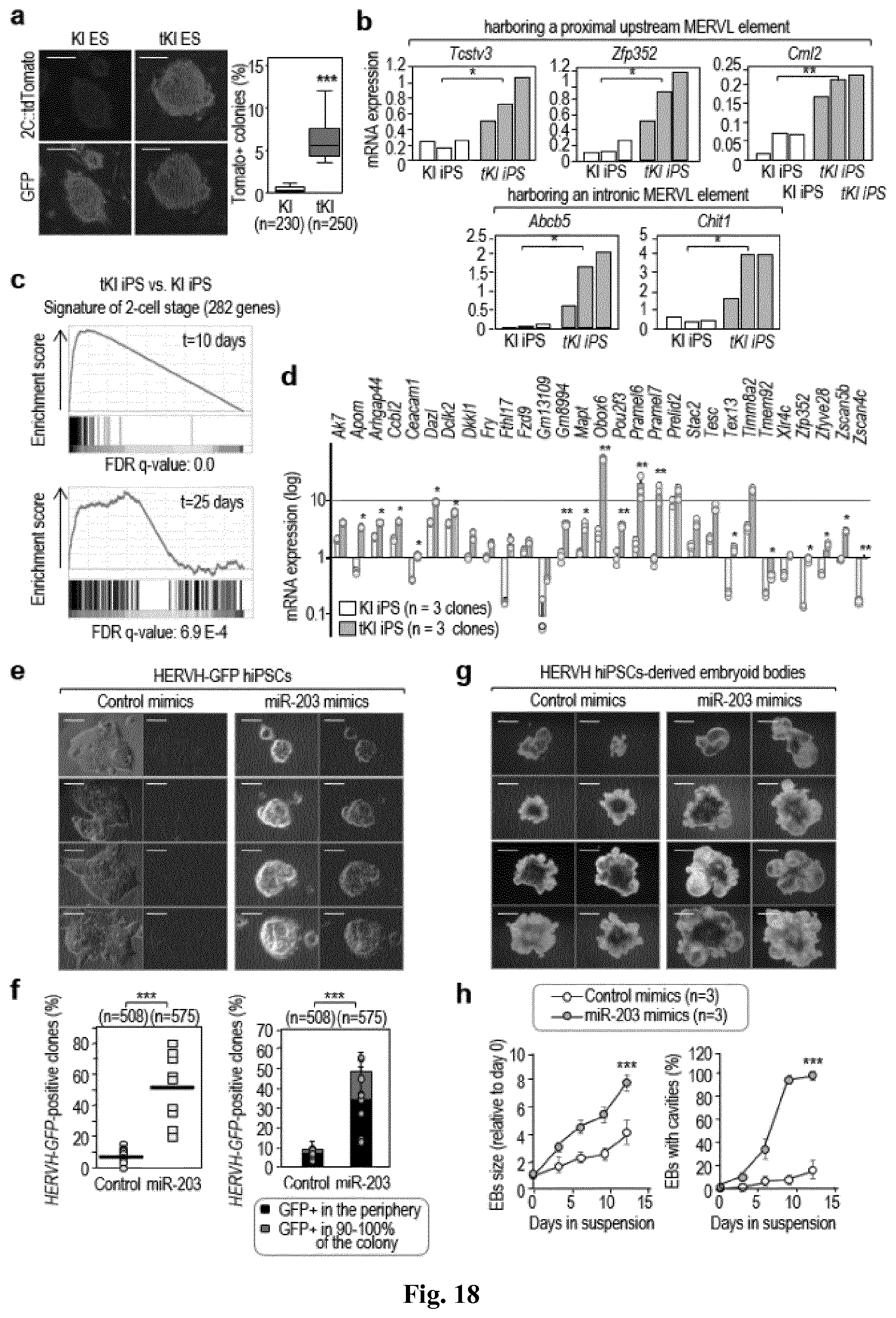 Patent US11814650 Figure 18 – Method for expanding stemness and differentiation potential of pluripotent cells