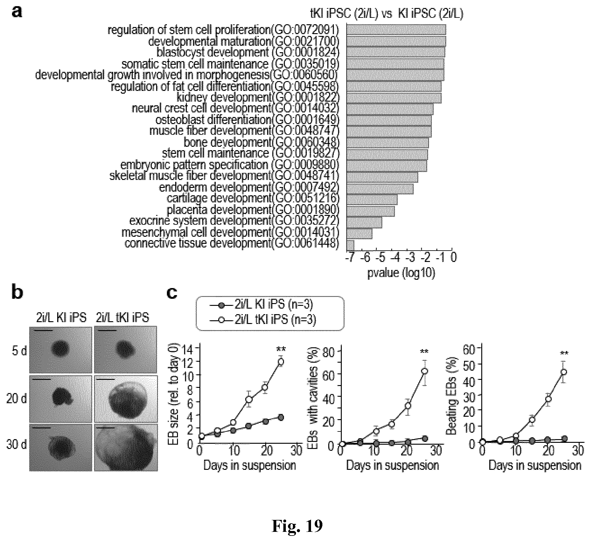 Patent US11814650 Figure 19 – Method for expanding stemness and differentiation potential of pluripotent cells
