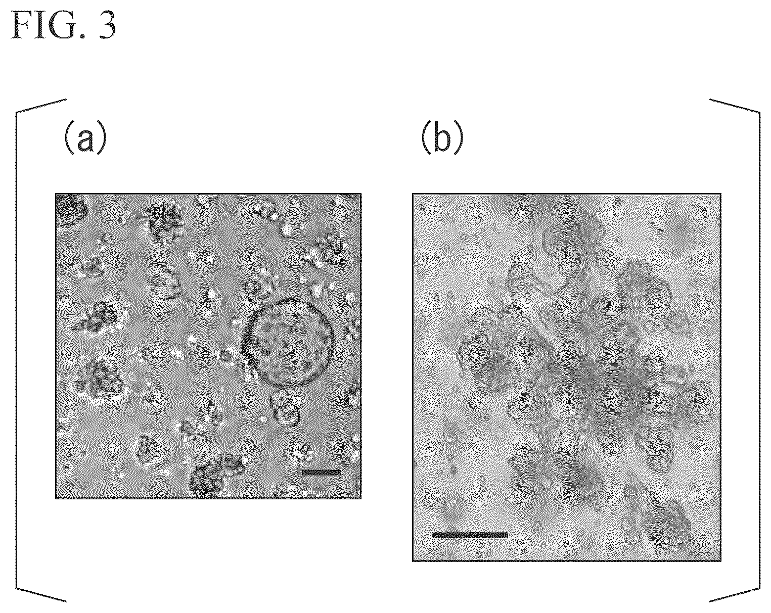 Patent US11814651 Figure 2 – Cell and utilization thereof