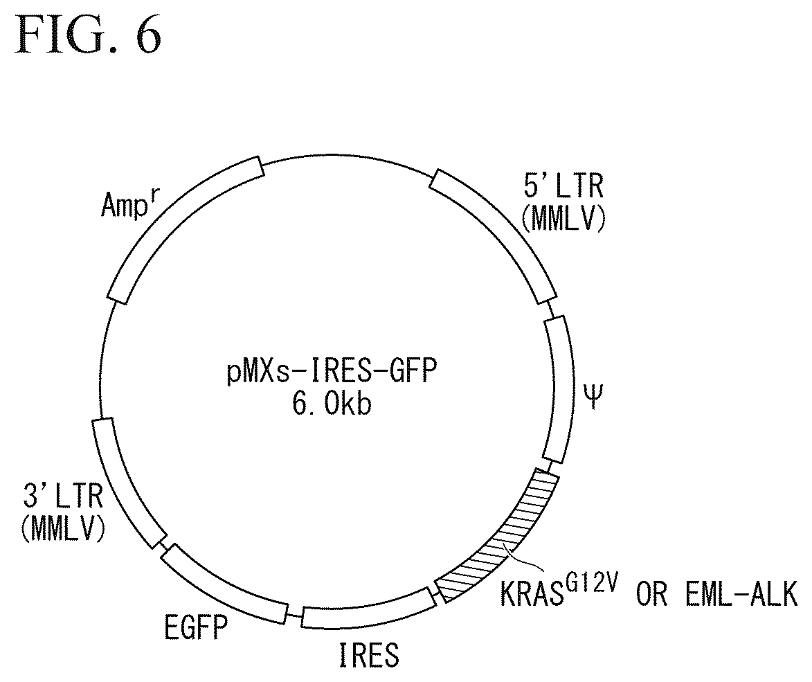 Patent US11814651 Figure 5 – Cell and utilization thereof