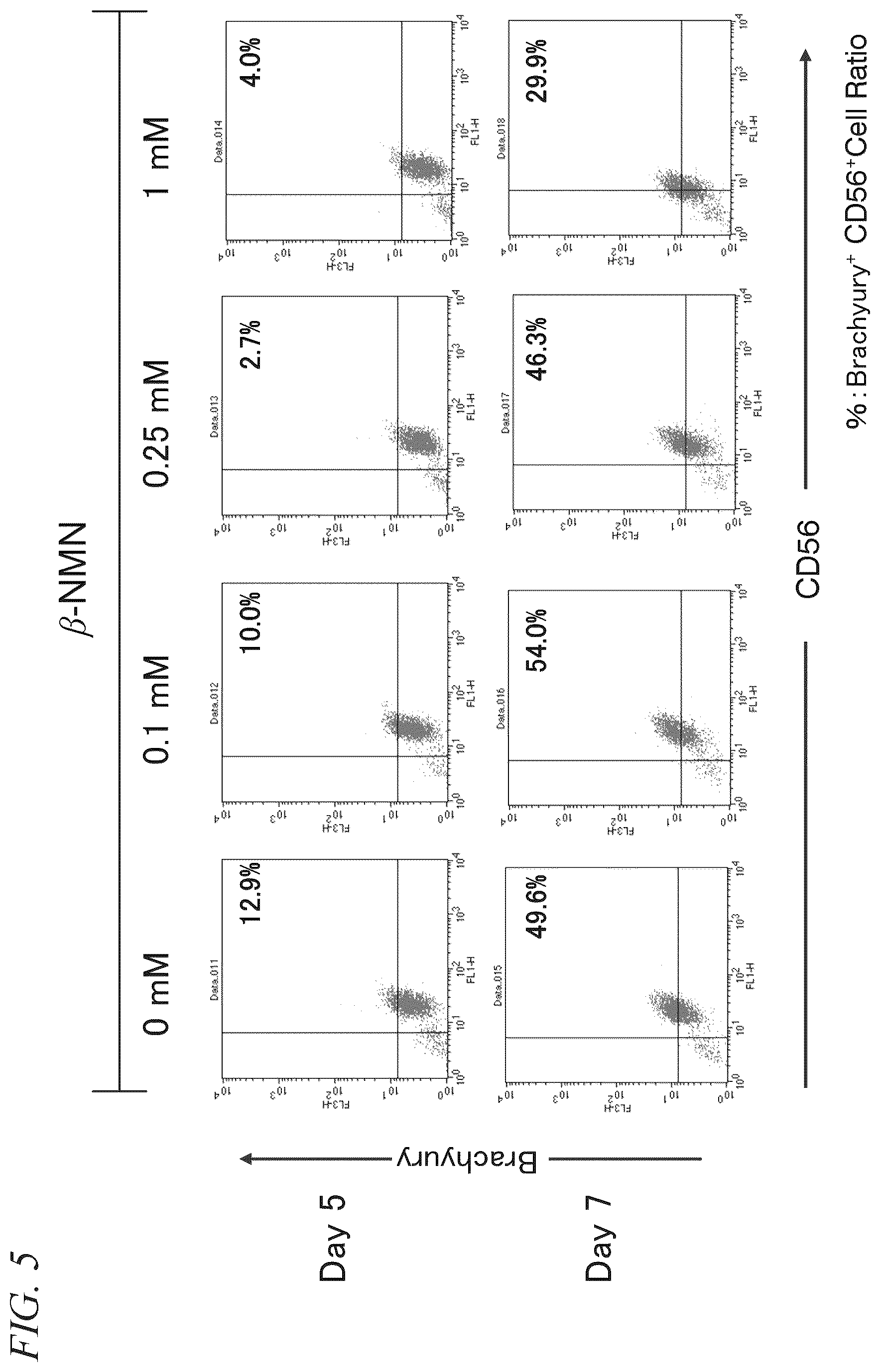 Patent US11814652 Figure 5 – Pluripotent stem cell differentiation-promoting agent