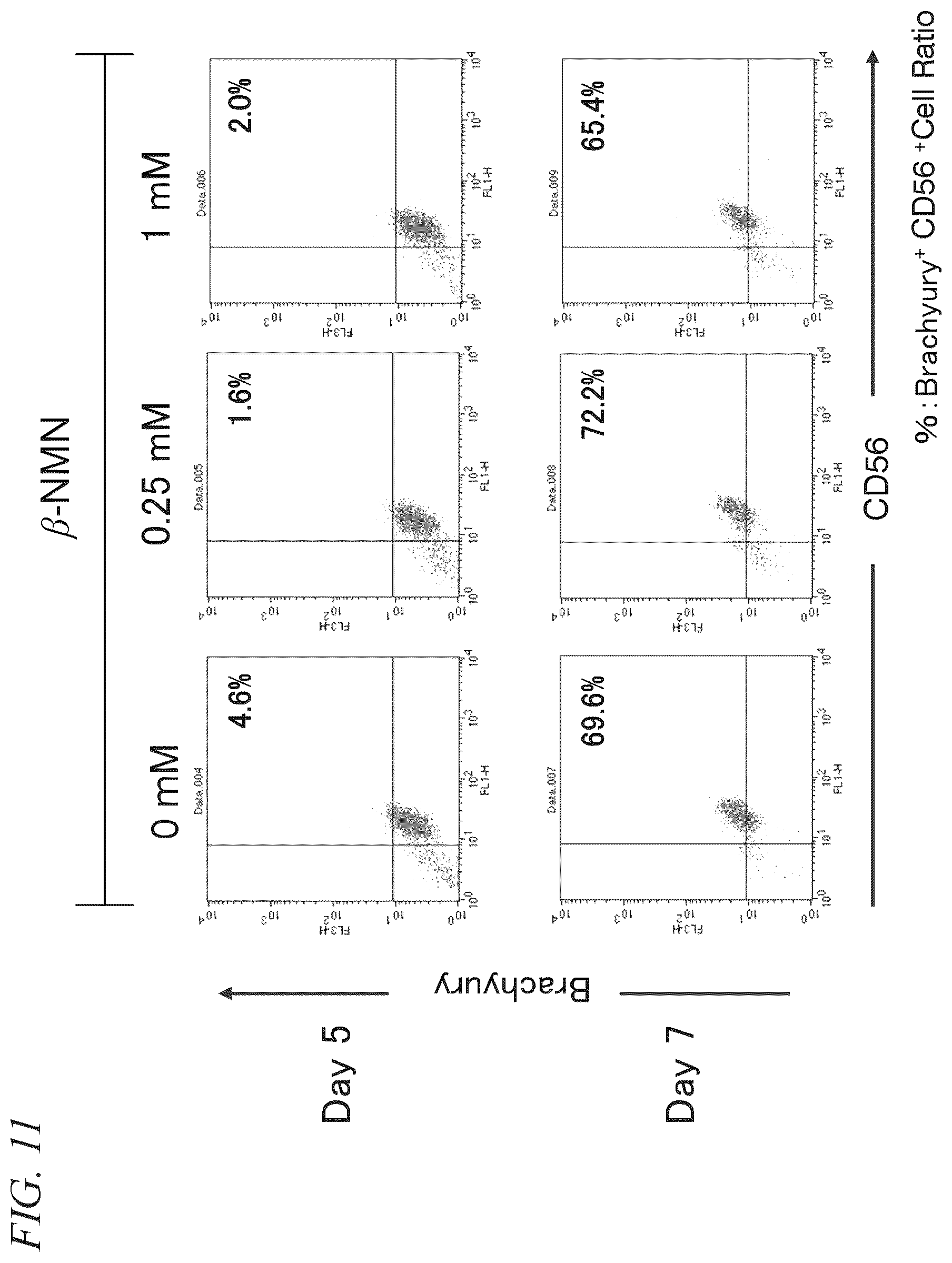 Patent US11814652 Figure 11 – Pluripotent stem cell differentiation-promoting agent