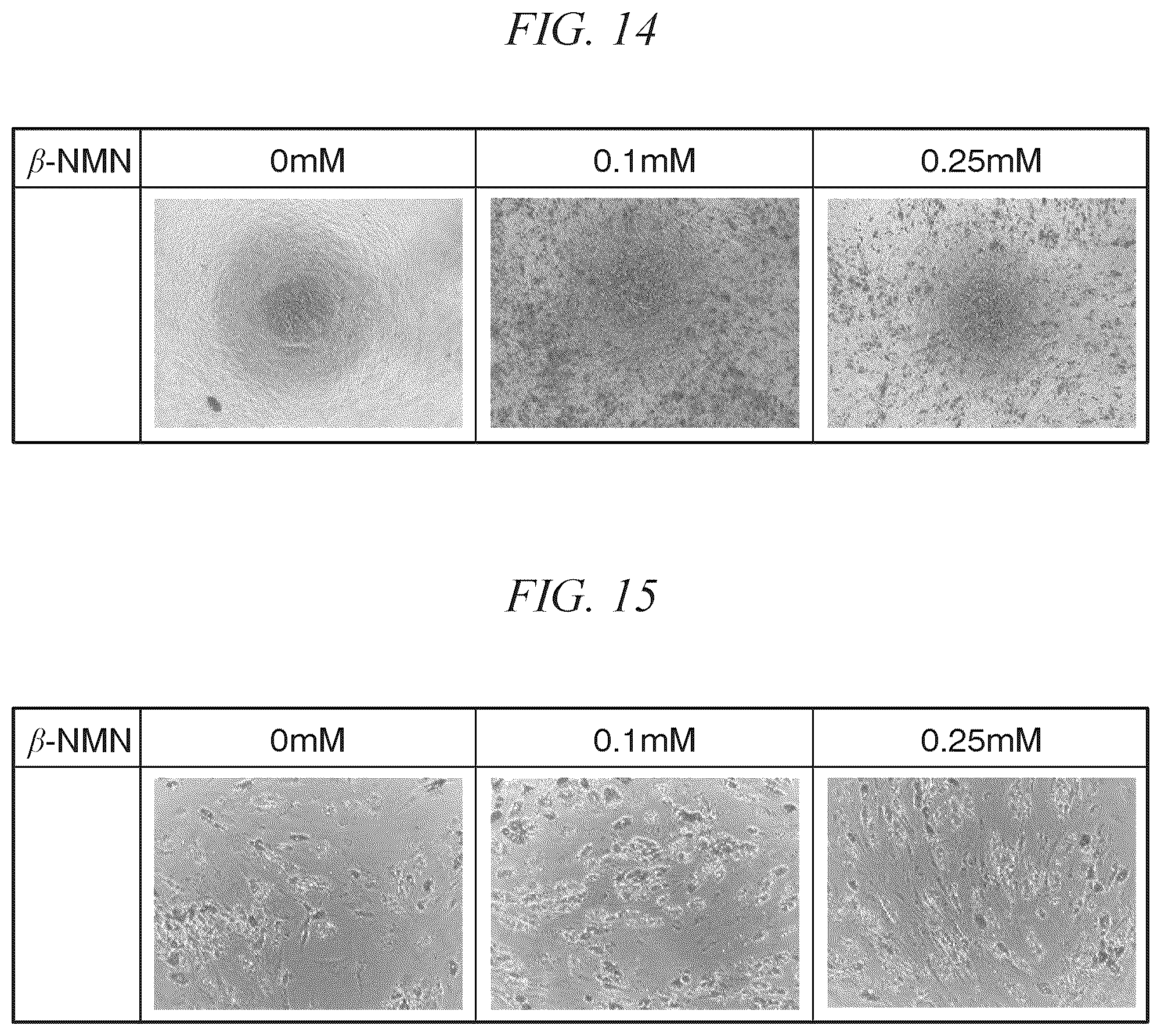 Patent US11814652 Figure 14 – Pluripotent stem cell differentiation-promoting agent