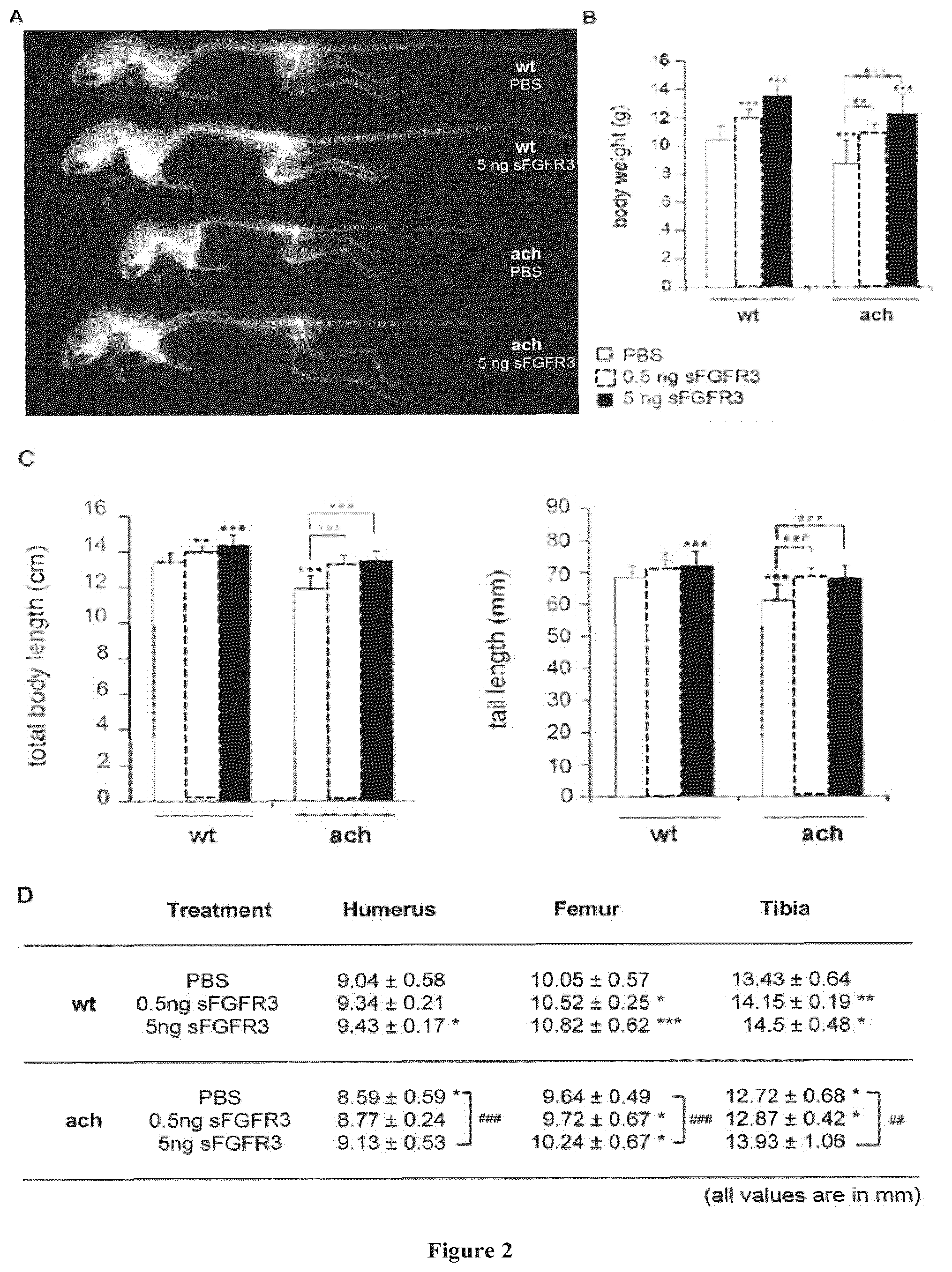 Patent US11814654 Figure 2 – Soluble fibroblast growth factor receptor 3 (FGR3) polypeptide for use in the prevention or treatment of skeletal growth retardation disorders