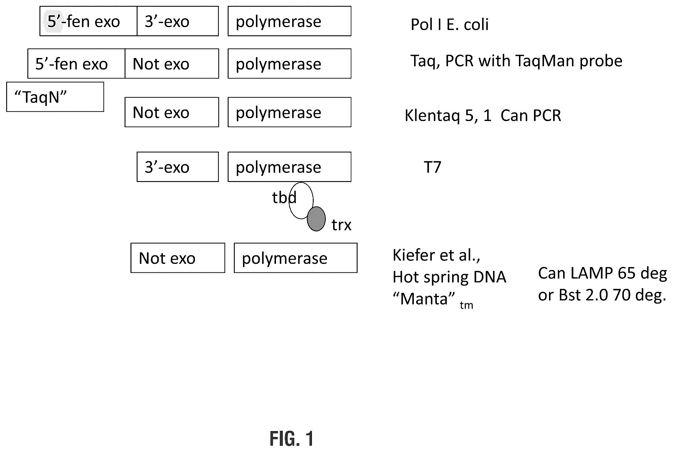 Patent US11814655 Figure 1 – Mutant polymerases and uses thereof