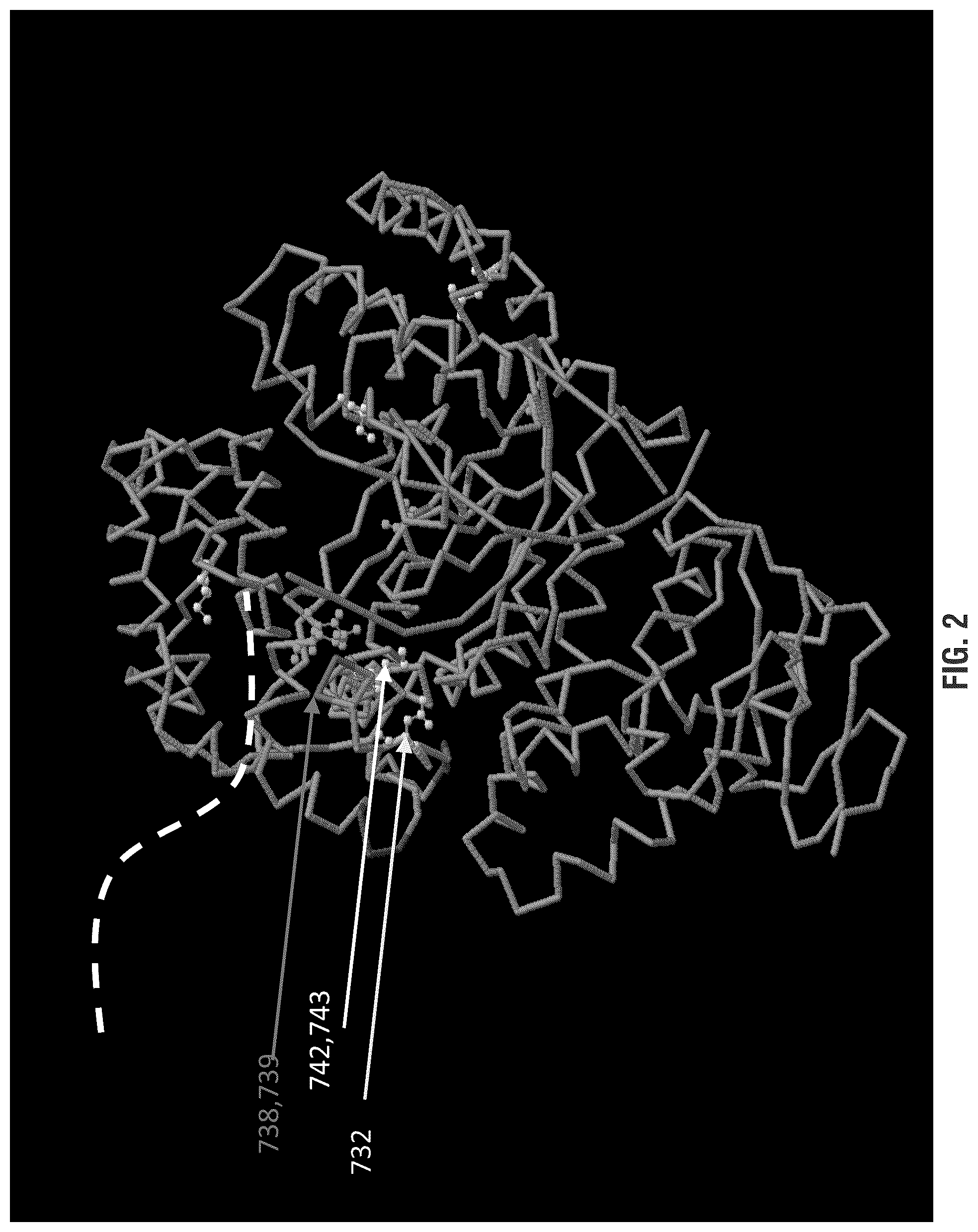 Patent US11814655 Figure 2 – Mutant polymerases and uses thereof