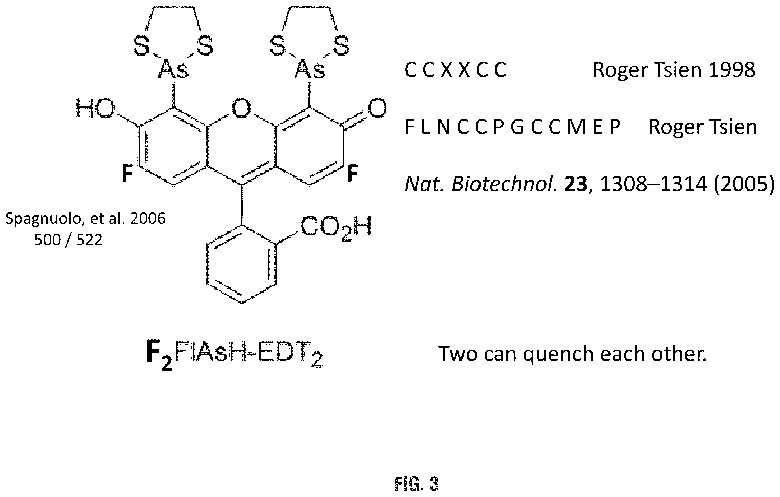 Patent US11814655 Figure 3 – Mutant polymerases and uses thereof