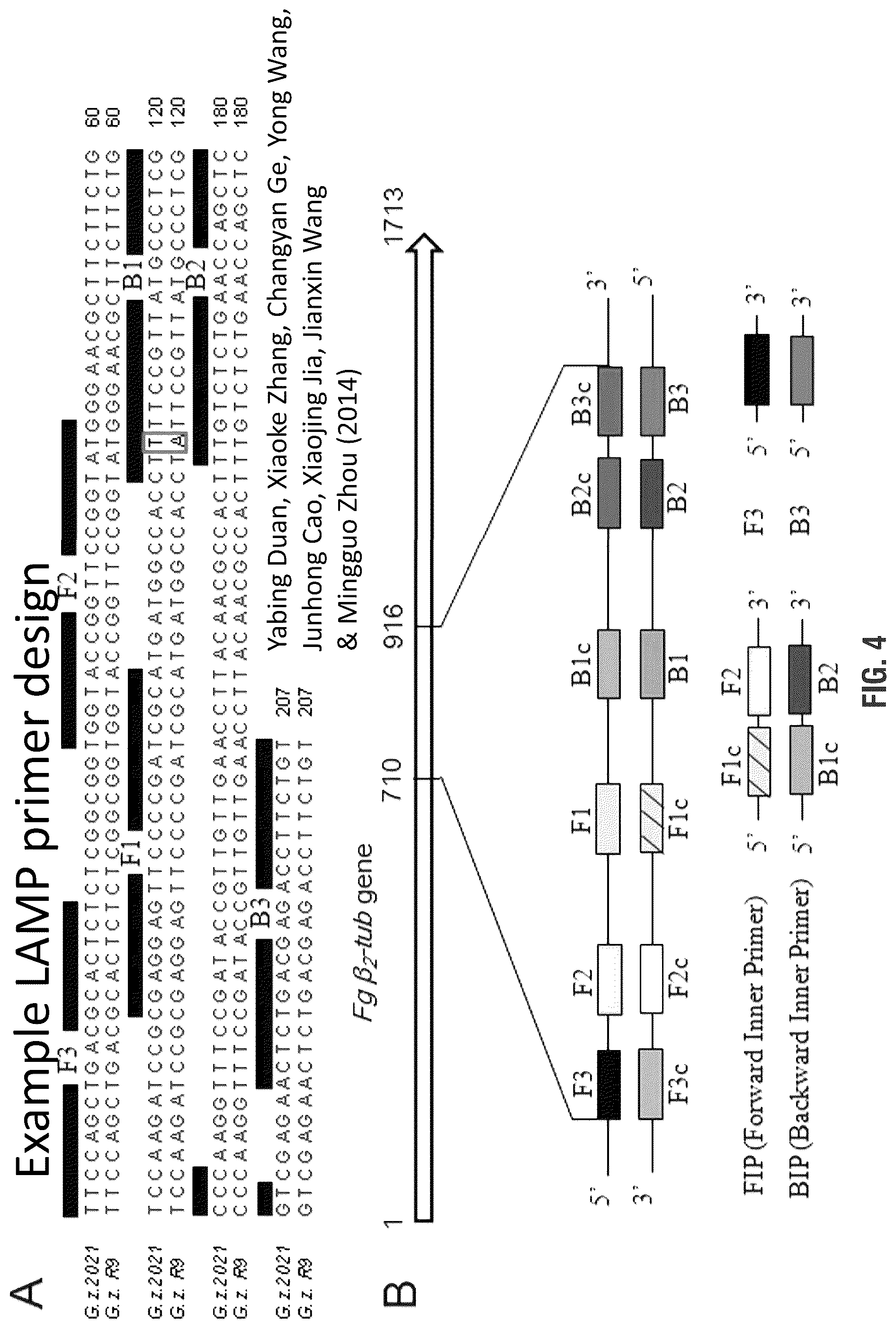 Patent US11814655 Figure 4 – Mutant polymerases and uses thereof