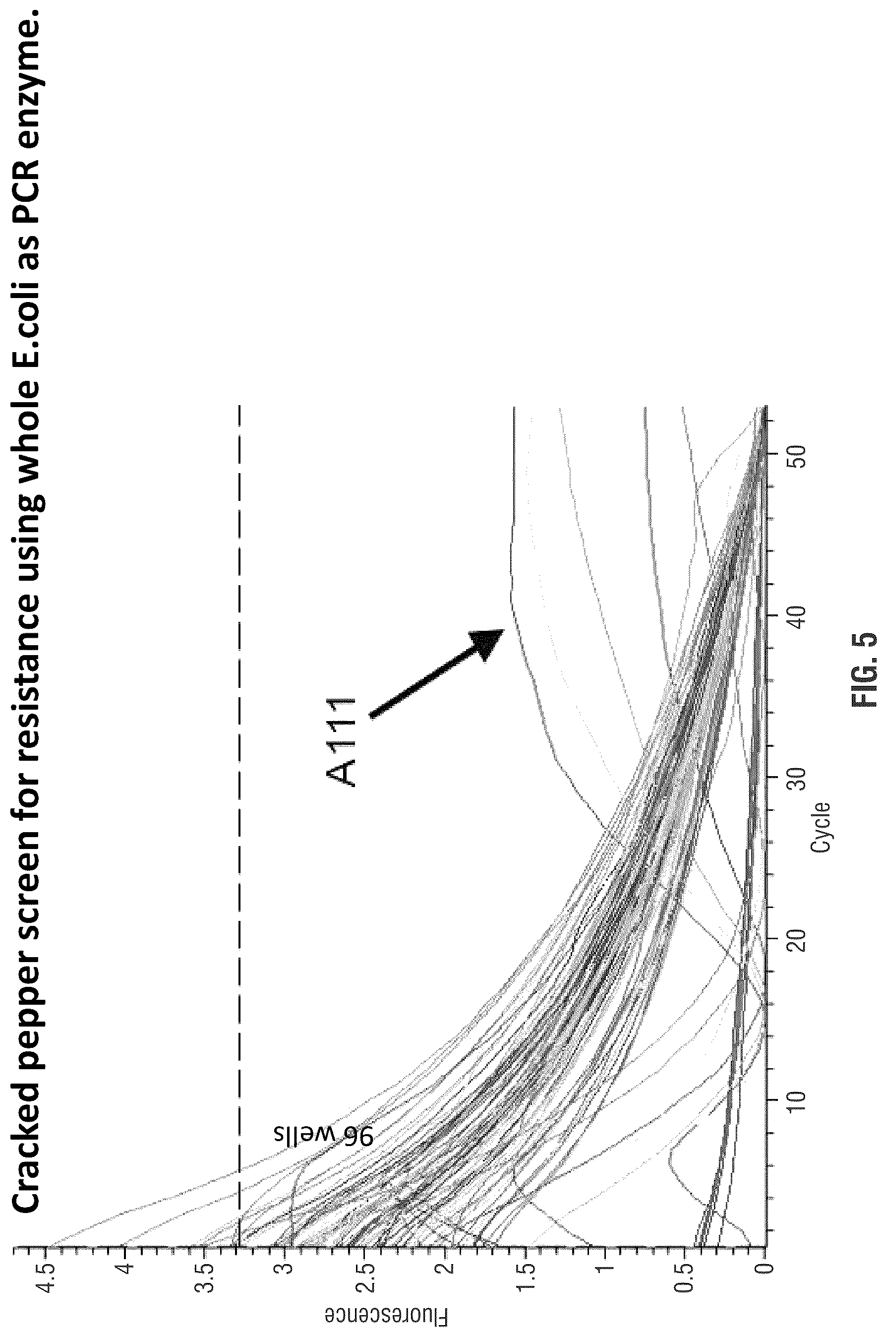 Patent US11814655 Figure 5 – Mutant polymerases and uses thereof
