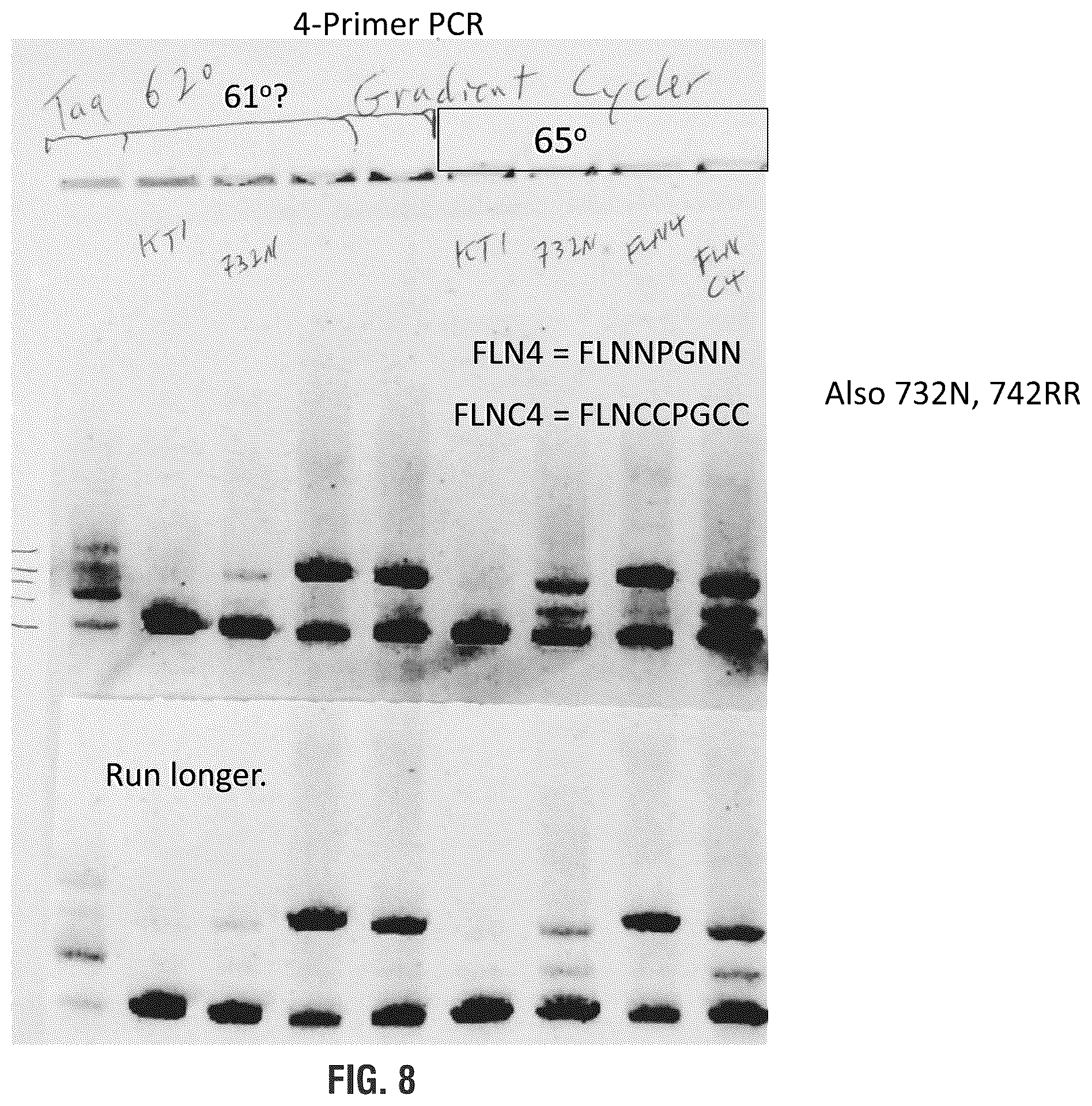 Patent US11814655 Figure 8 – Mutant polymerases and uses thereof