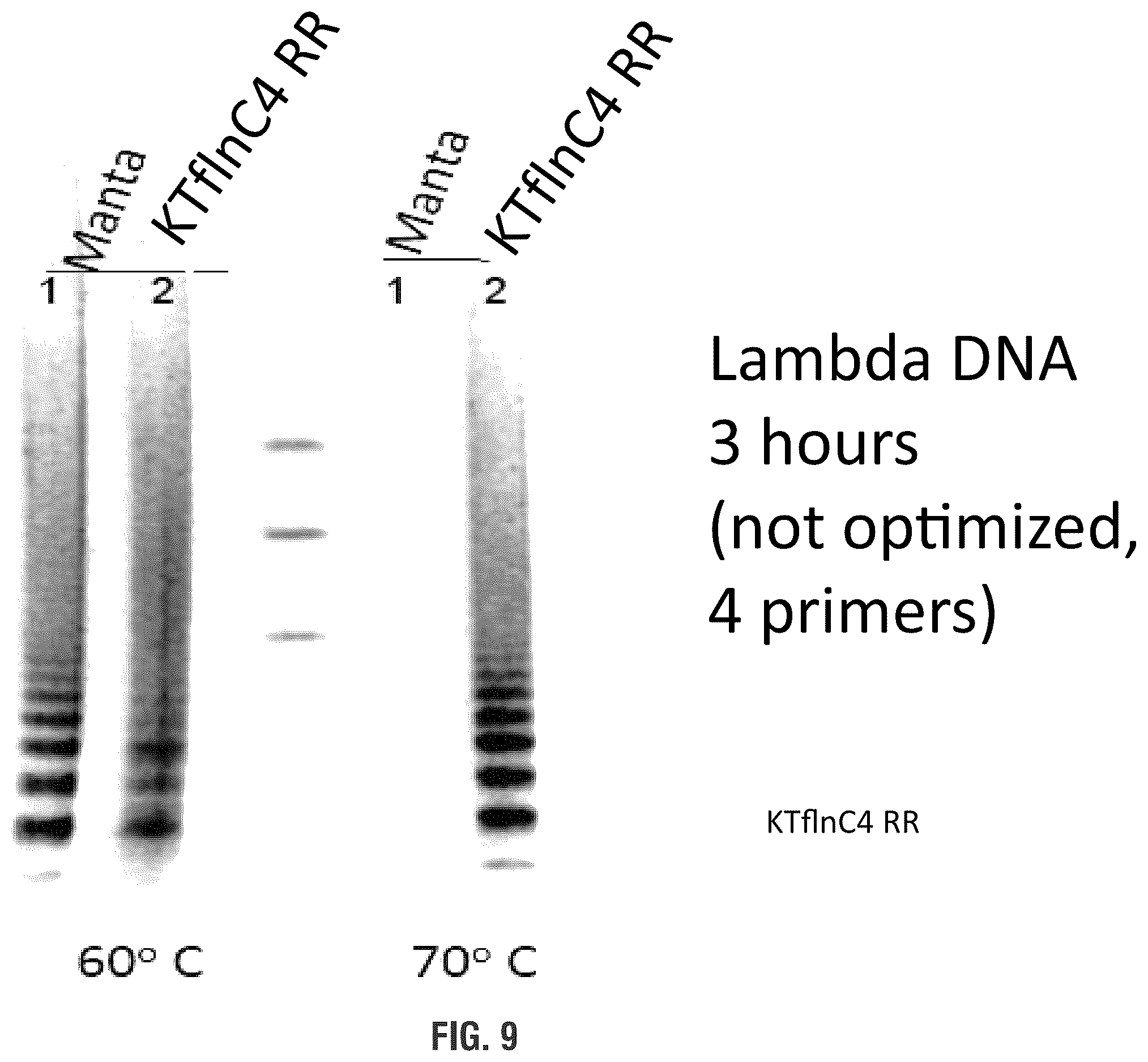 Patent US11814655 Figure 9 – Mutant polymerases and uses thereof