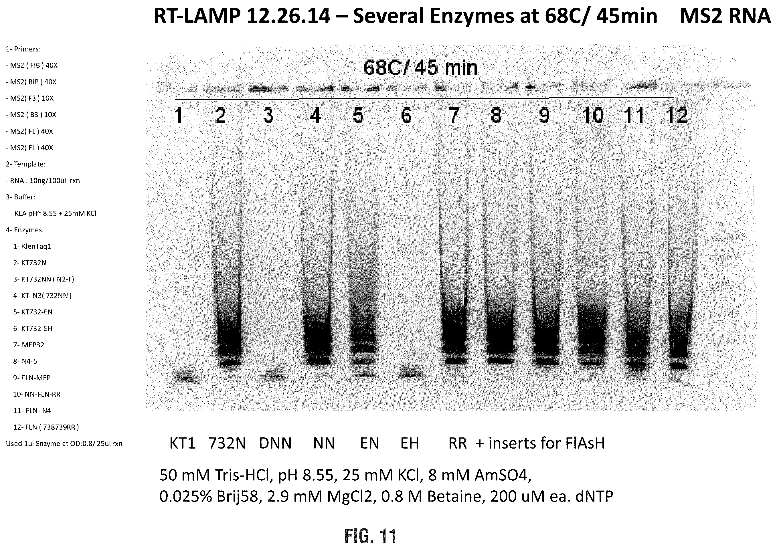 Patent US11814655 Figure 11 – Mutant polymerases and uses thereof