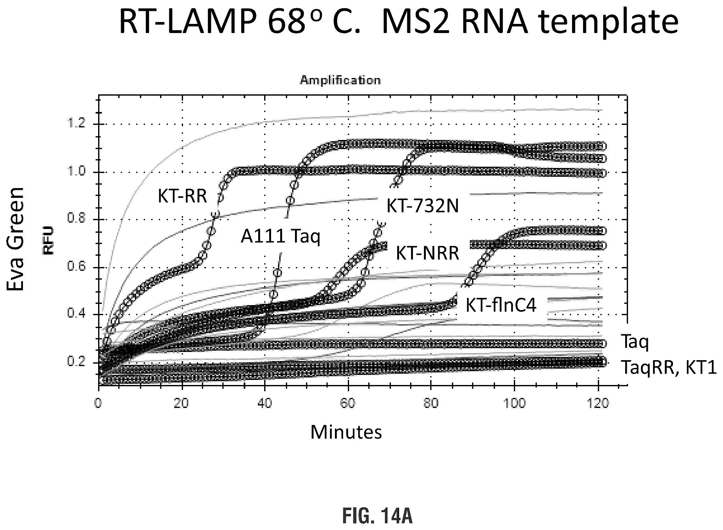Patent US11814655 Figure 14 – Mutant polymerases and uses thereof