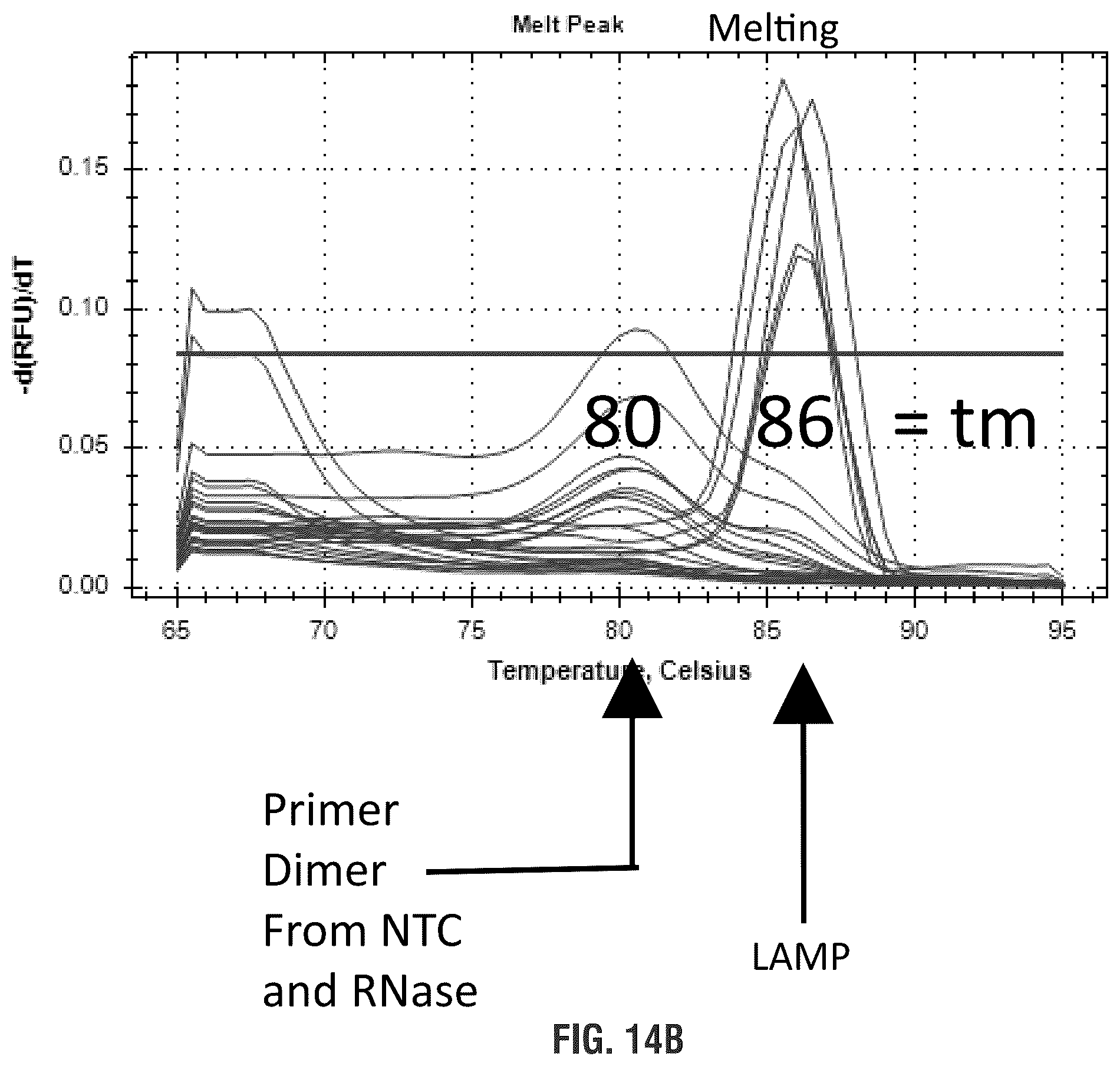 Patent US11814655 Figure 15 – Mutant polymerases and uses thereof