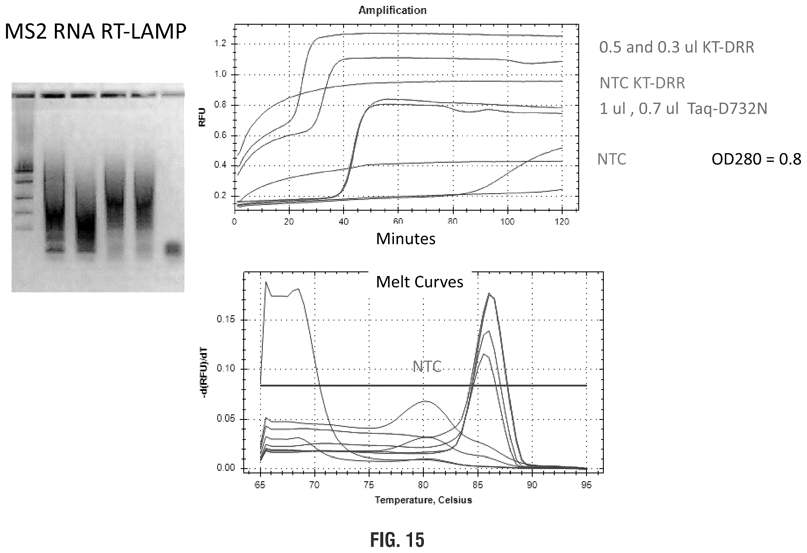 Patent US11814655 Figure 16 – Mutant polymerases and uses thereof