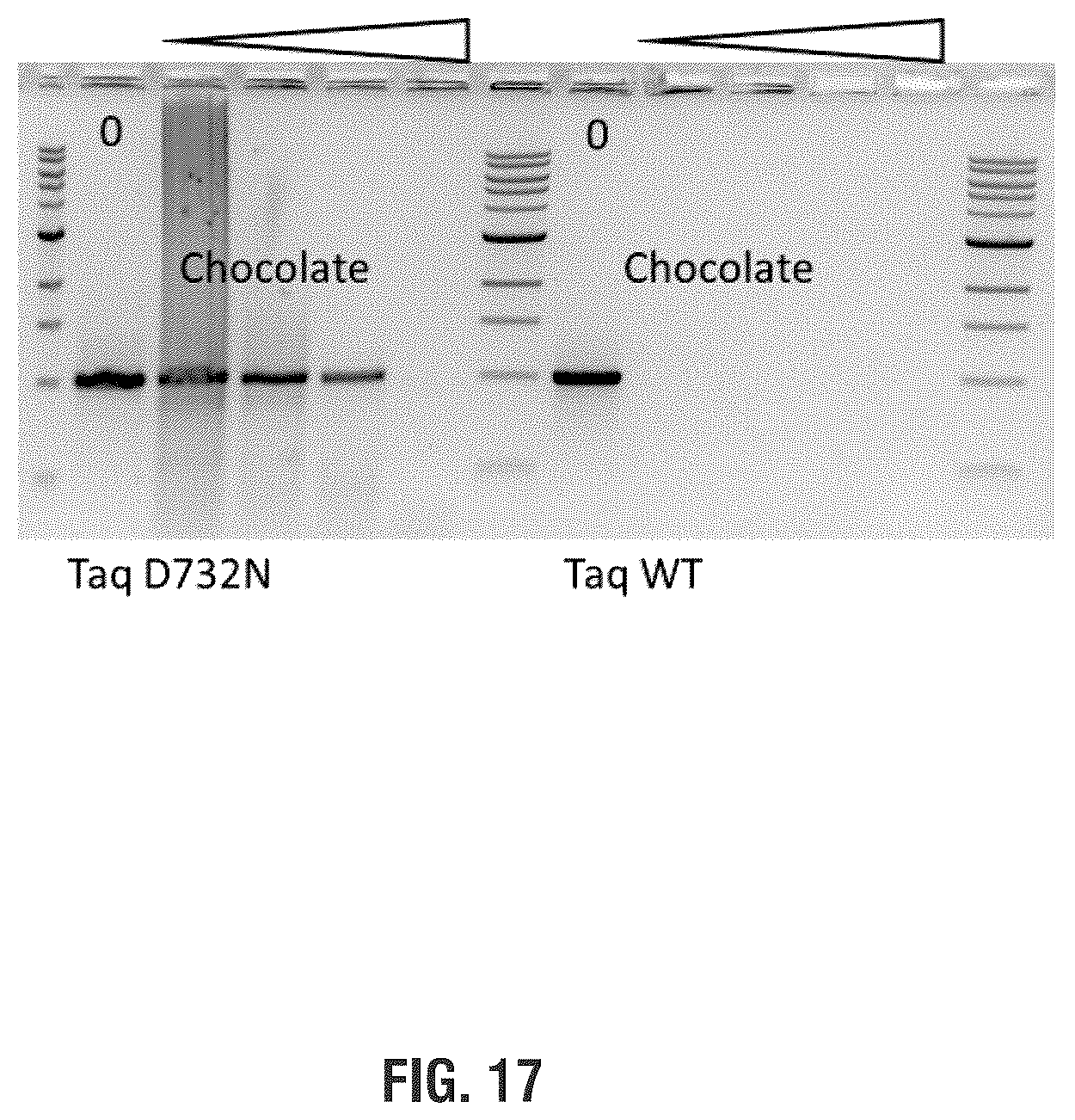 Patent US11814655 Figure 19 – Mutant polymerases and uses thereof