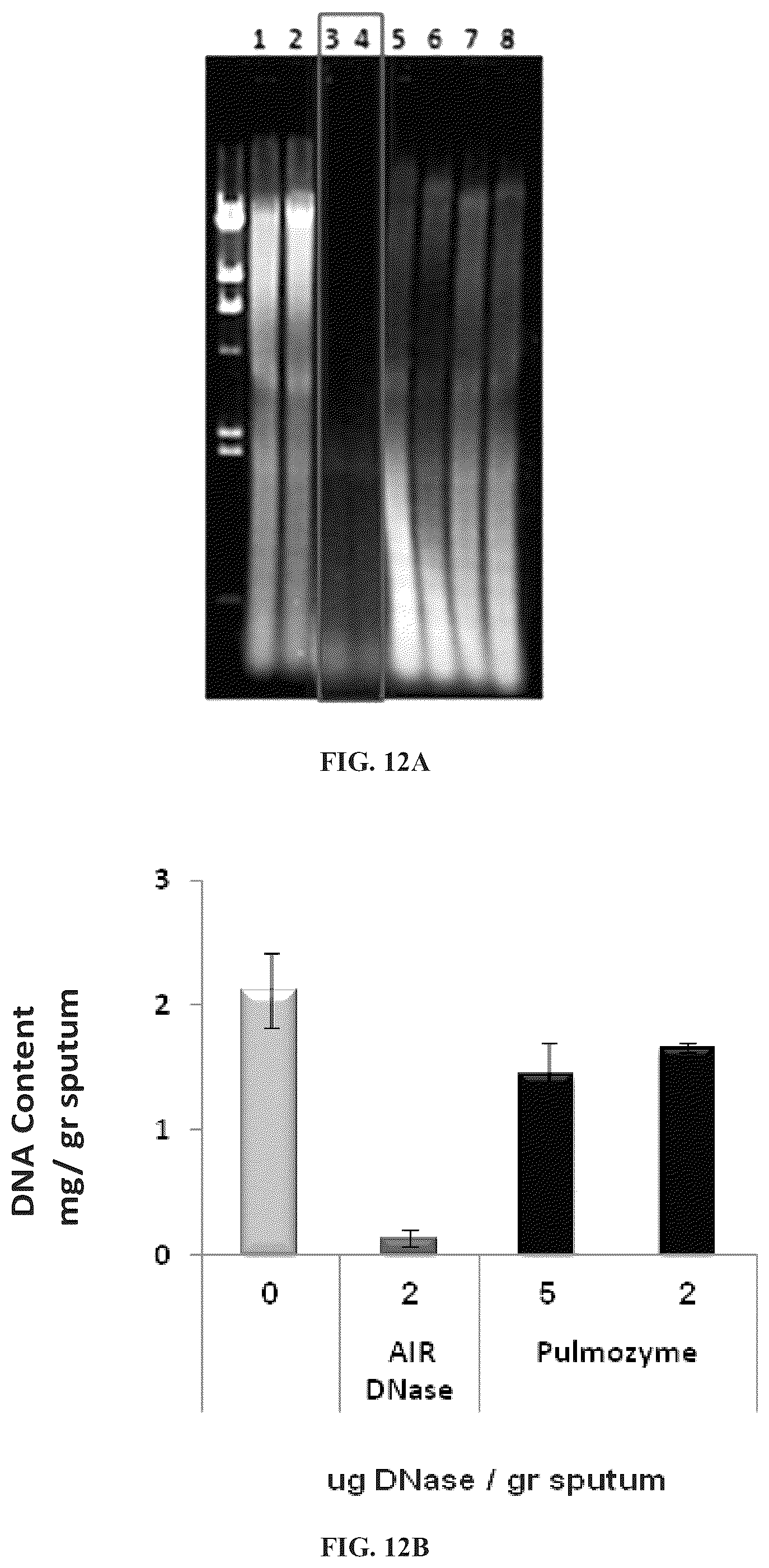 Patent US11814657 Figure 9 – Modified DNase and uses thereof