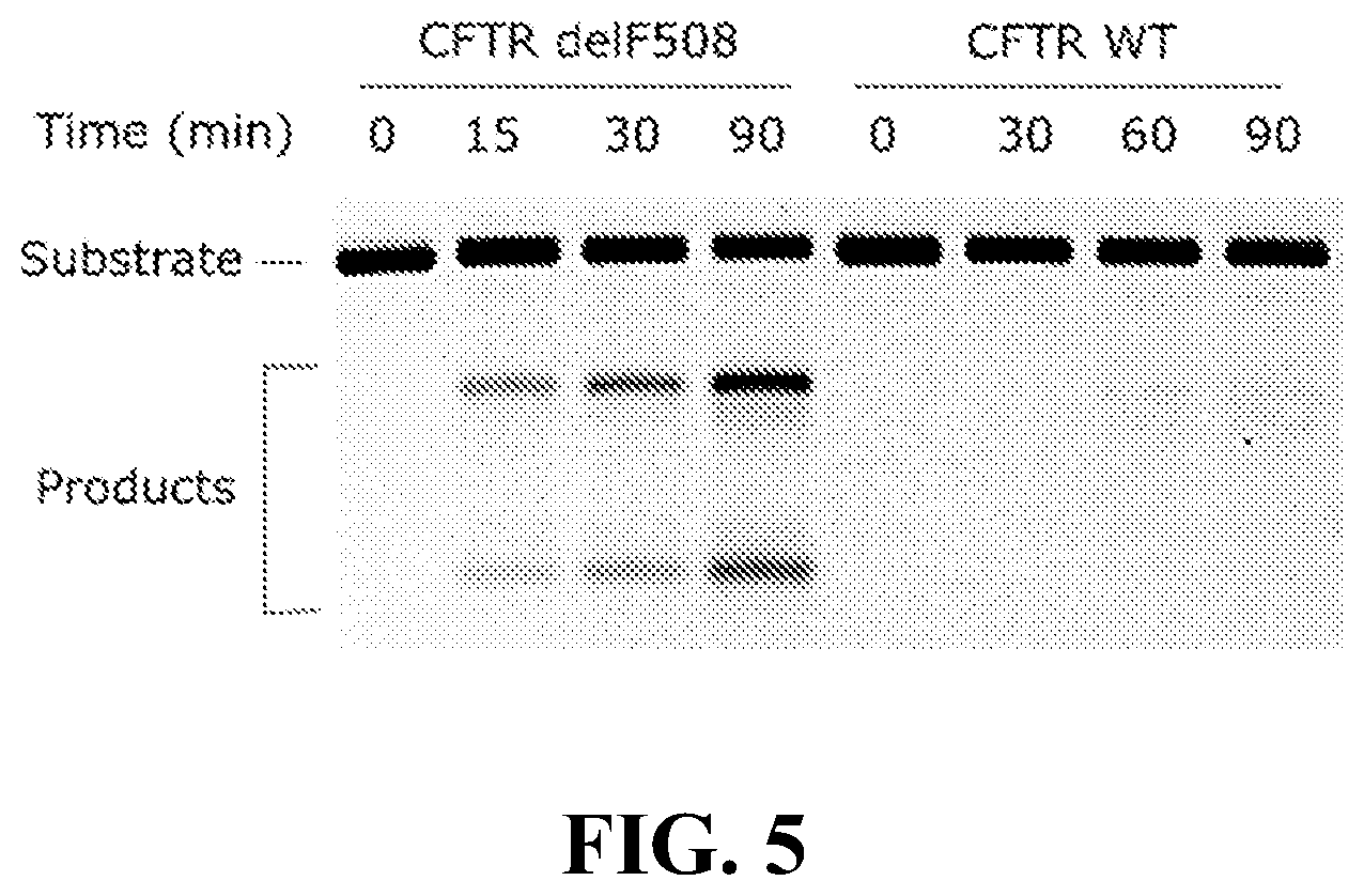 Patent US11814658 Figure 5 – Lipid-encapsulated dual-cleaving endonuclease for DNA and gene editing