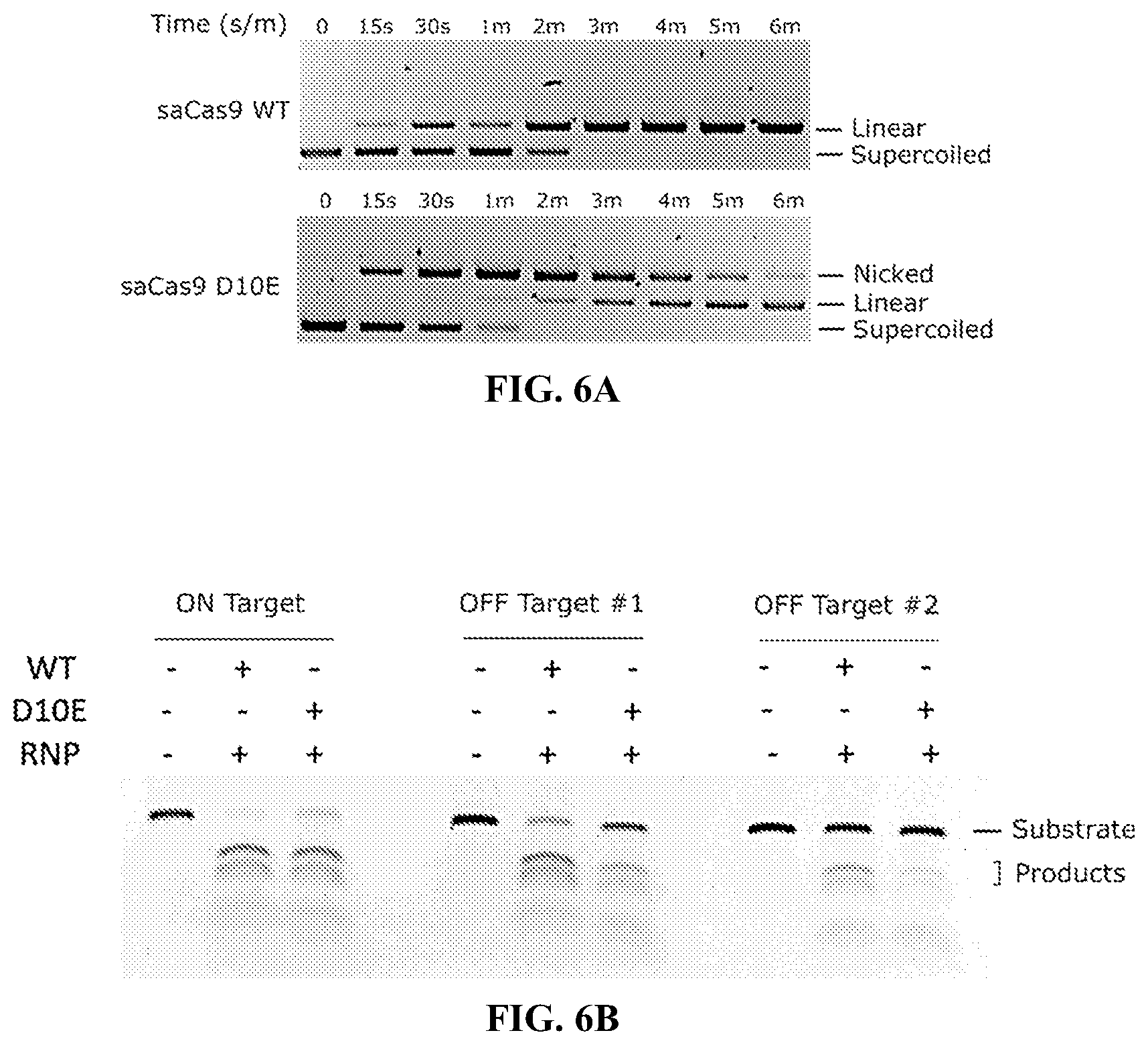 Patent US11814658 Figure 6 – Lipid-encapsulated dual-cleaving endonuclease for DNA and gene editing