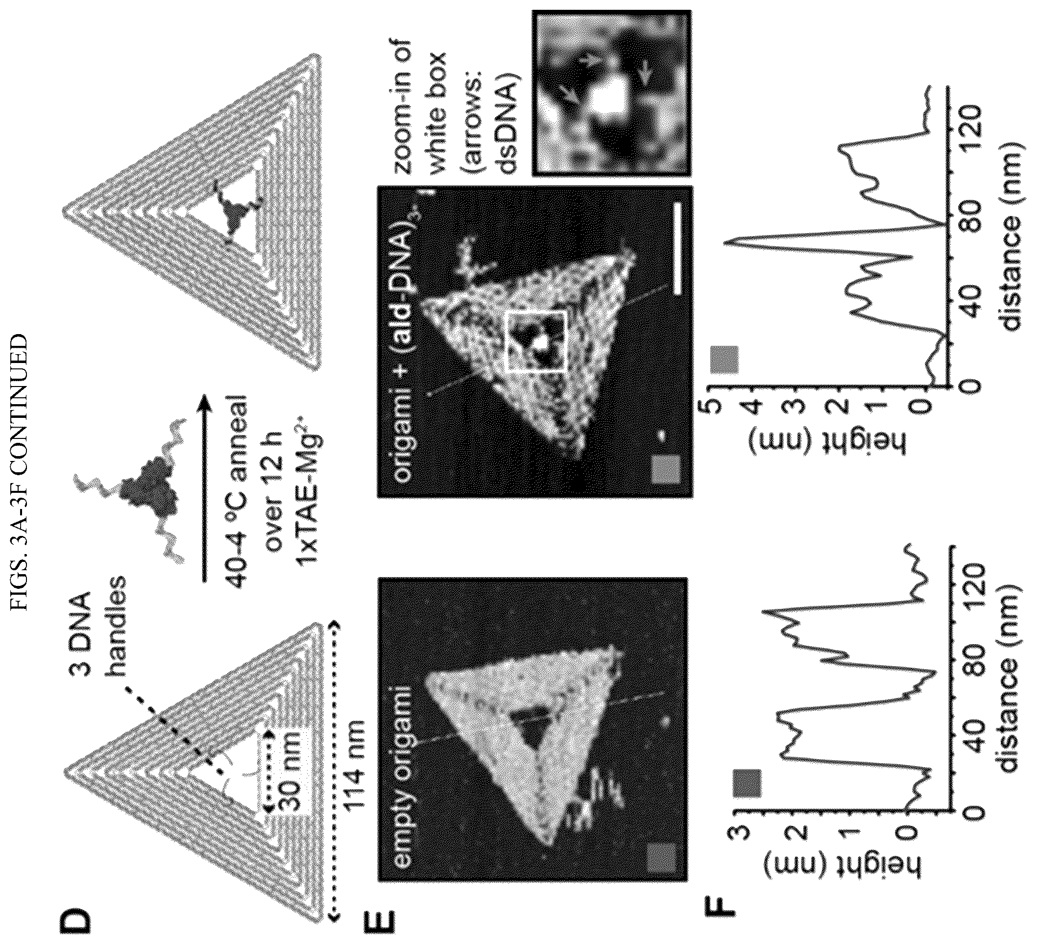 Patent US11814659 Figure 5 – Tunable nanoscale cages from self-assembling DNA and protein building blocks