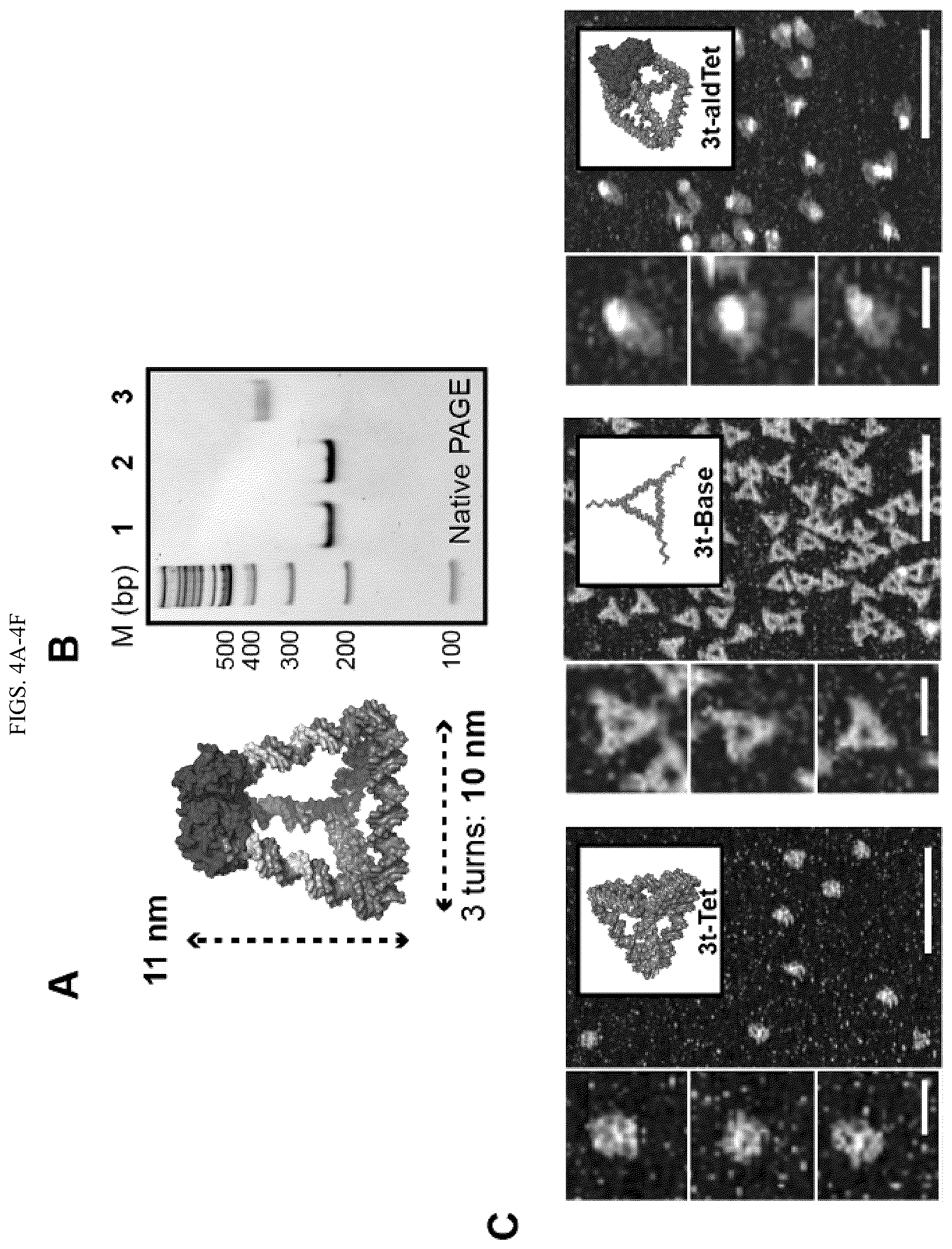 Patent US11814659 Figure 6 – Tunable nanoscale cages from self-assembling DNA and protein building blocks