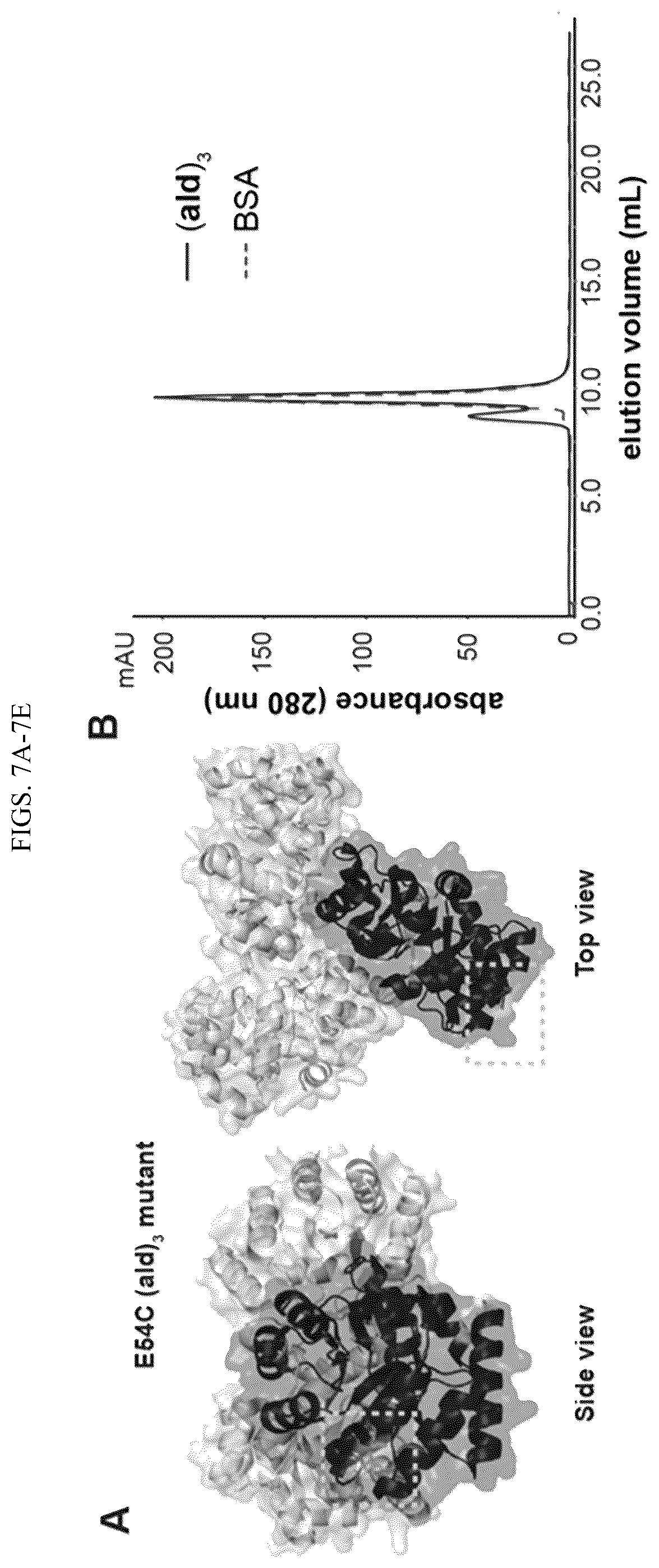 Patent US11814659 Figure 11 – Tunable nanoscale cages from self-assembling DNA and protein building blocks