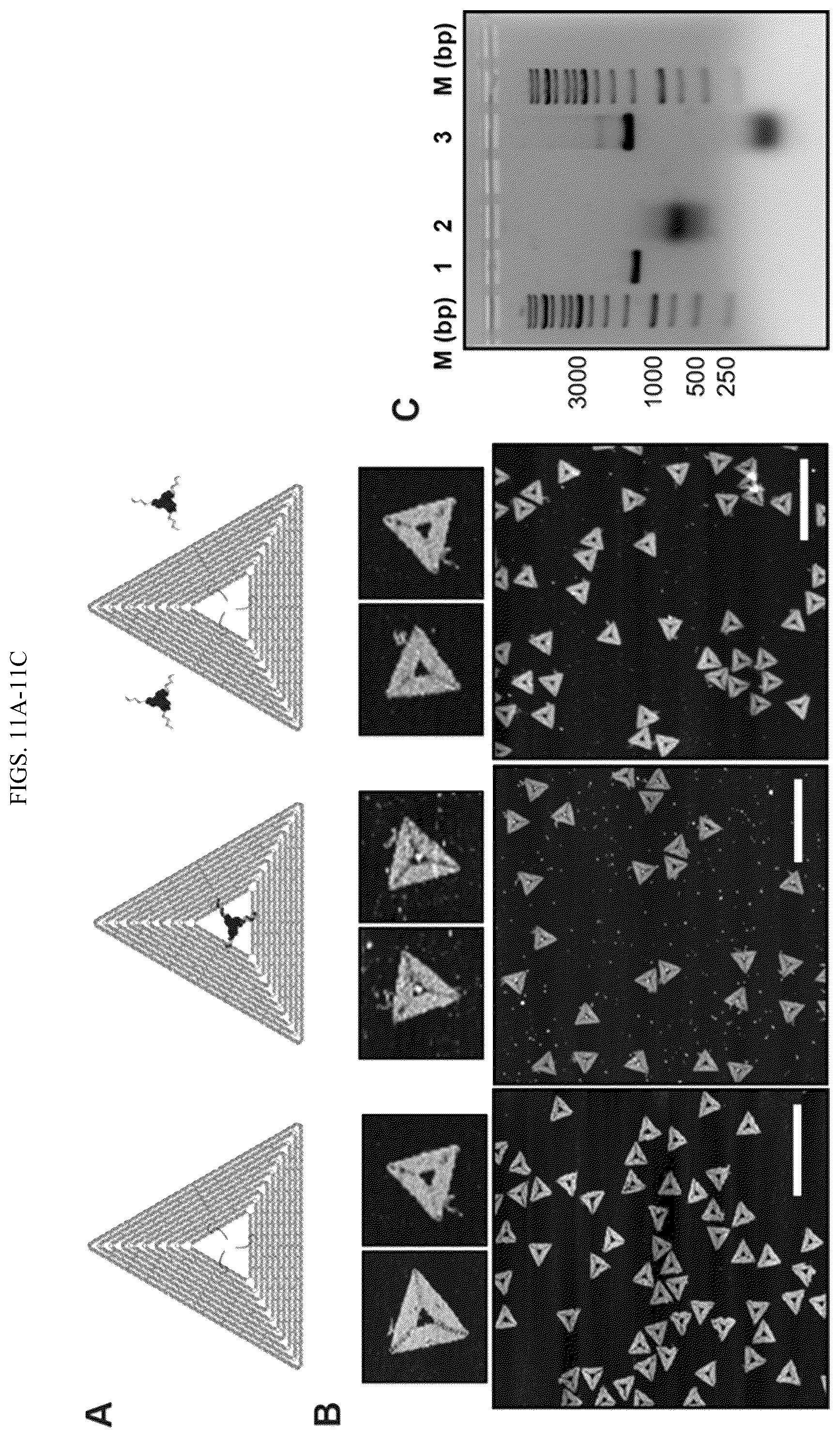 Patent US11814659 Figure 16 – Tunable nanoscale cages from self-assembling DNA and protein building blocks