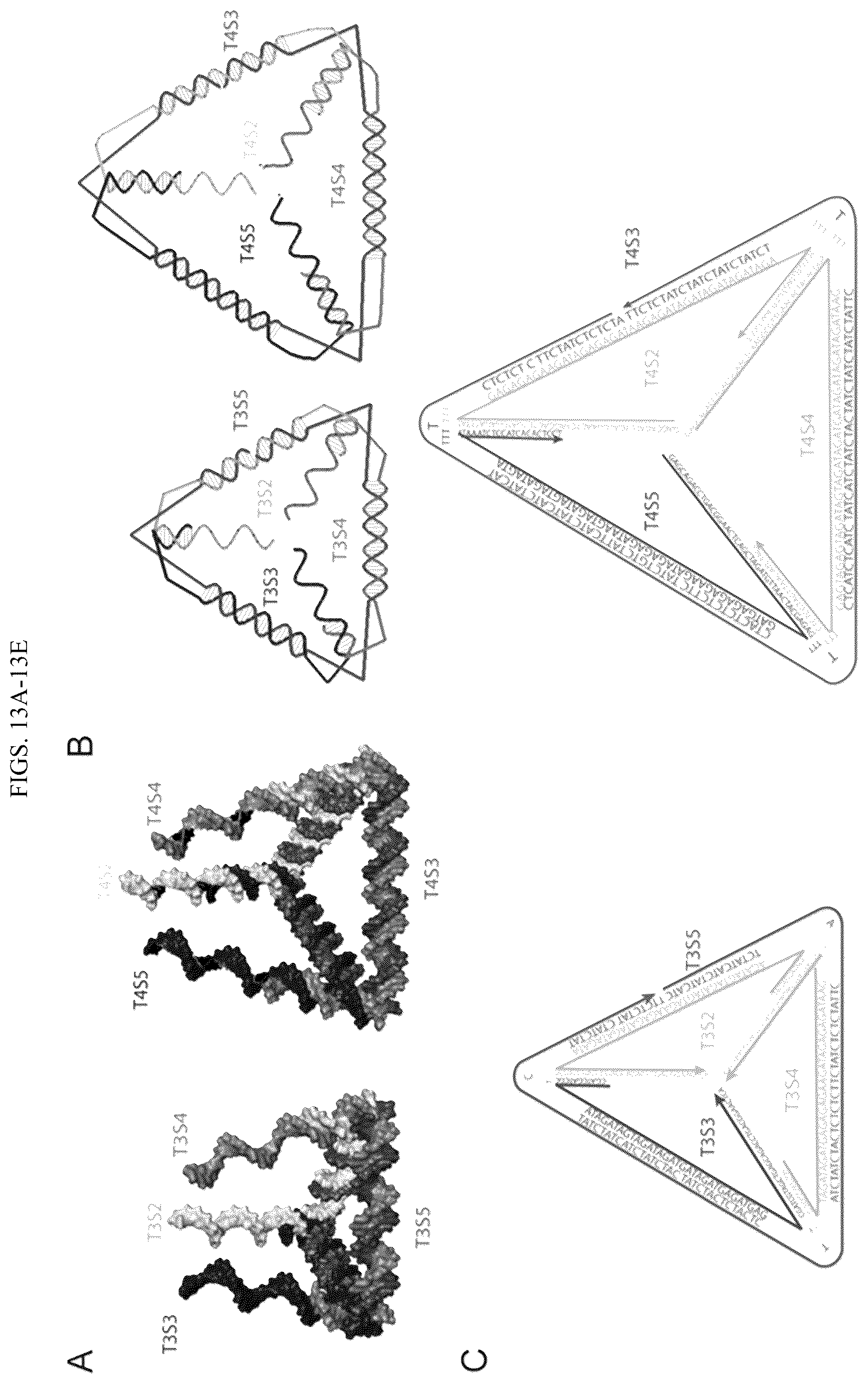 Patent US11814659 Figure 18 – Tunable nanoscale cages from self-assembling DNA and protein building blocks